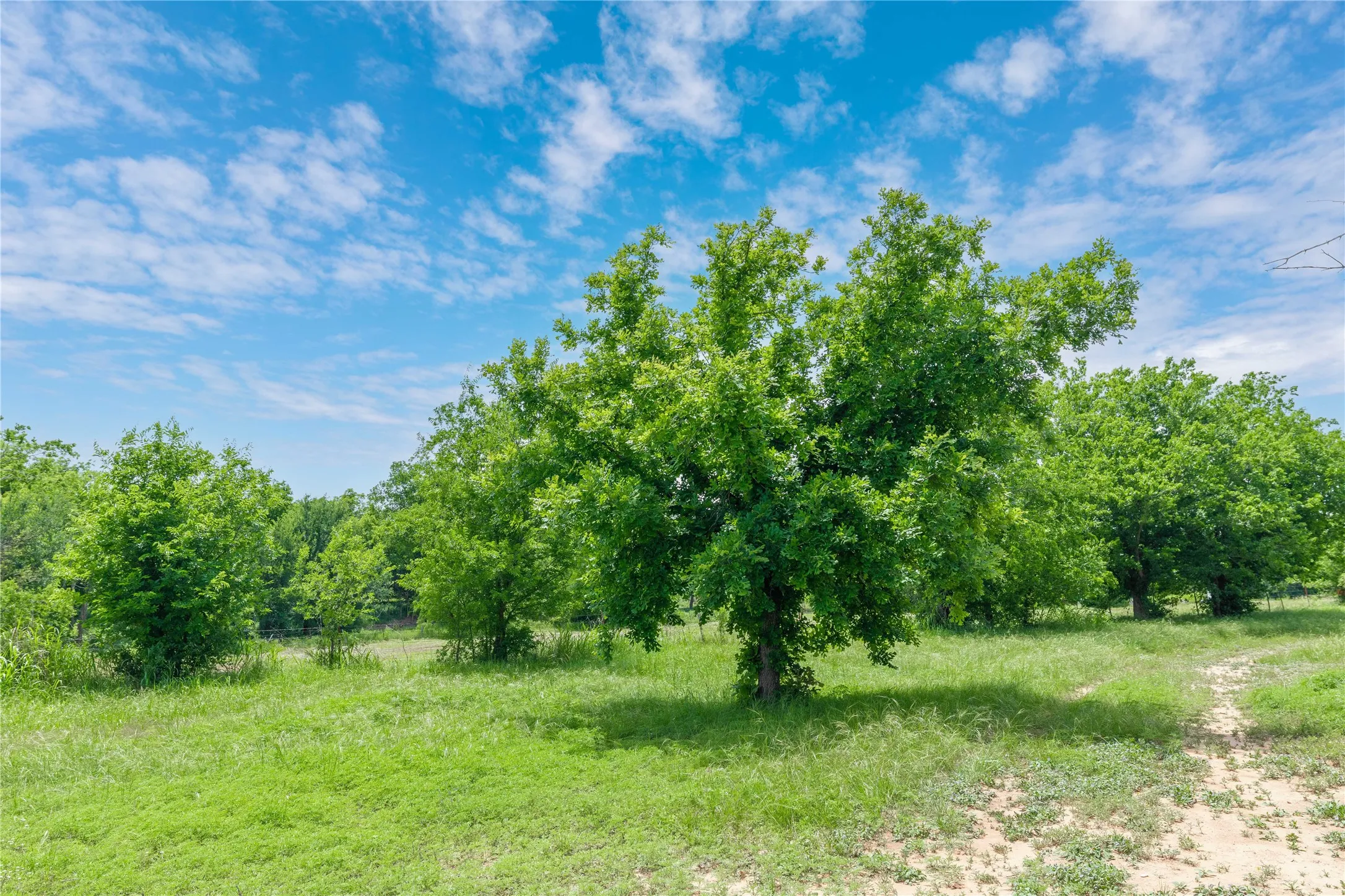 Improved Land For Sale in San Saba County , 4960 Fm 1480, San Saba, Texas 76877, 0, 0, Garage spaces, 0 Sqft, built in 0, mls#21263216, Real Estate Agent in San Saba, Homes For Sale in San Saba county, Homes For Sale in San Saba, Realtor in San Saba Texas, Real Estate Brokerage Independent Realty Texas, Luminita Cordes Realtor