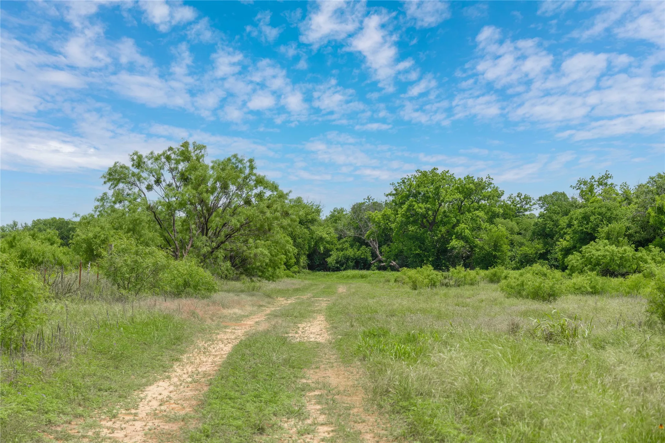 Improved Land For Sale in San Saba County , 4960 Fm 1480, San Saba, Texas 76877, 0, 0, Garage spaces, 0 Sqft, built in 0, mls#21263216, Real Estate Agent in San Saba, Homes For Sale in San Saba county, Homes For Sale in San Saba, Realtor in San Saba Texas, Real Estate Brokerage Independent Realty Texas, Luminita Cordes Realtor