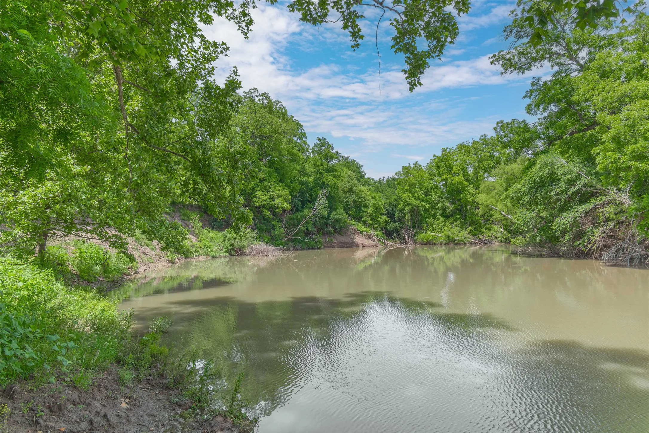 Improved Land For Sale in San Saba County , 4960 Fm 1480, San Saba, Texas 76877, 0, 0, Garage spaces, 0 Sqft, built in 0, mls#21263216, Real Estate Agent in San Saba, Homes For Sale in San Saba county, Homes For Sale in San Saba, Realtor in San Saba Texas, Real Estate Brokerage Independent Realty Texas, Luminita Cordes Realtor