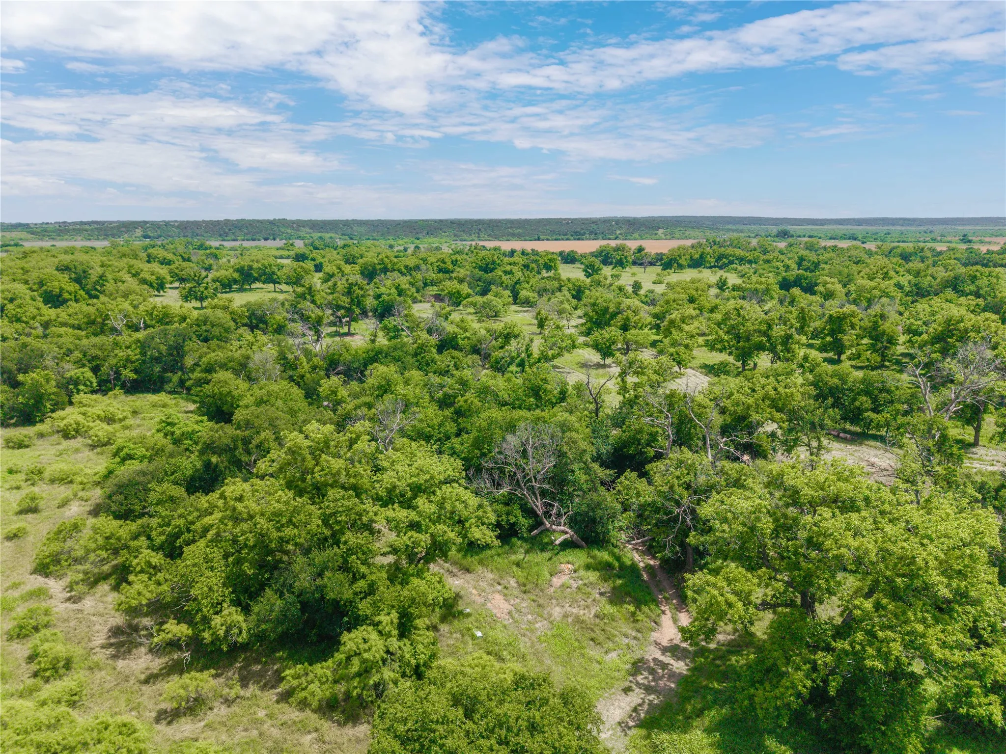 Improved Land For Sale in San Saba County , 4960 Fm 1480, San Saba, Texas 76877, 0, 0, Garage spaces, 0 Sqft, built in 0, mls#21263216, Real Estate Agent in San Saba, Homes For Sale in San Saba county, Homes For Sale in San Saba, Realtor in San Saba Texas, Real Estate Brokerage Independent Realty Texas, Luminita Cordes Realtor