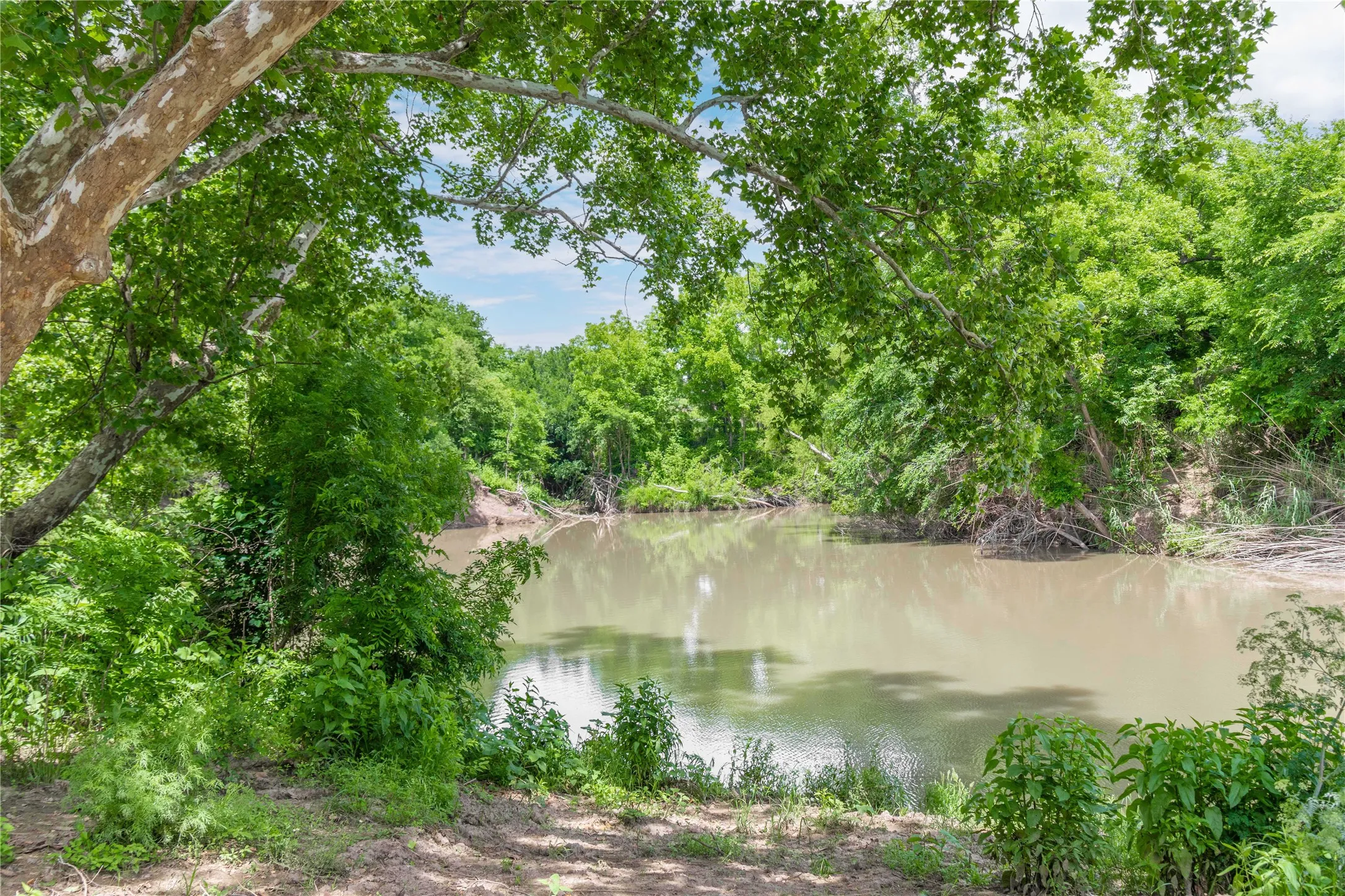 Improved Land For Sale in San Saba County , 4960 Fm 1480, San Saba, Texas 76877, 0, 0, Garage spaces, 0 Sqft, built in 0, mls#21263216, Real Estate Agent in San Saba, Homes For Sale in San Saba county, Homes For Sale in San Saba, Realtor in San Saba Texas, Real Estate Brokerage Independent Realty Texas, Luminita Cordes Realtor
