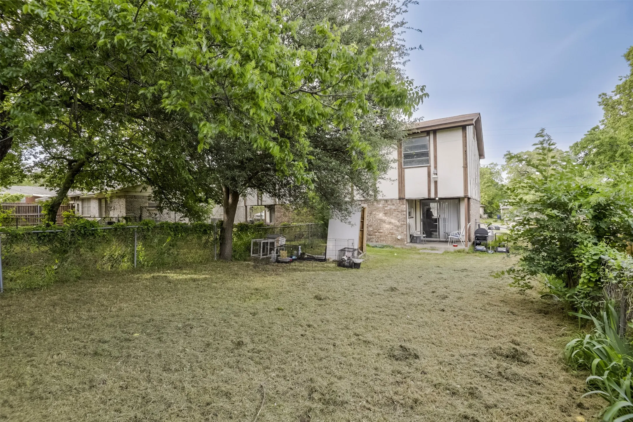 Backyard