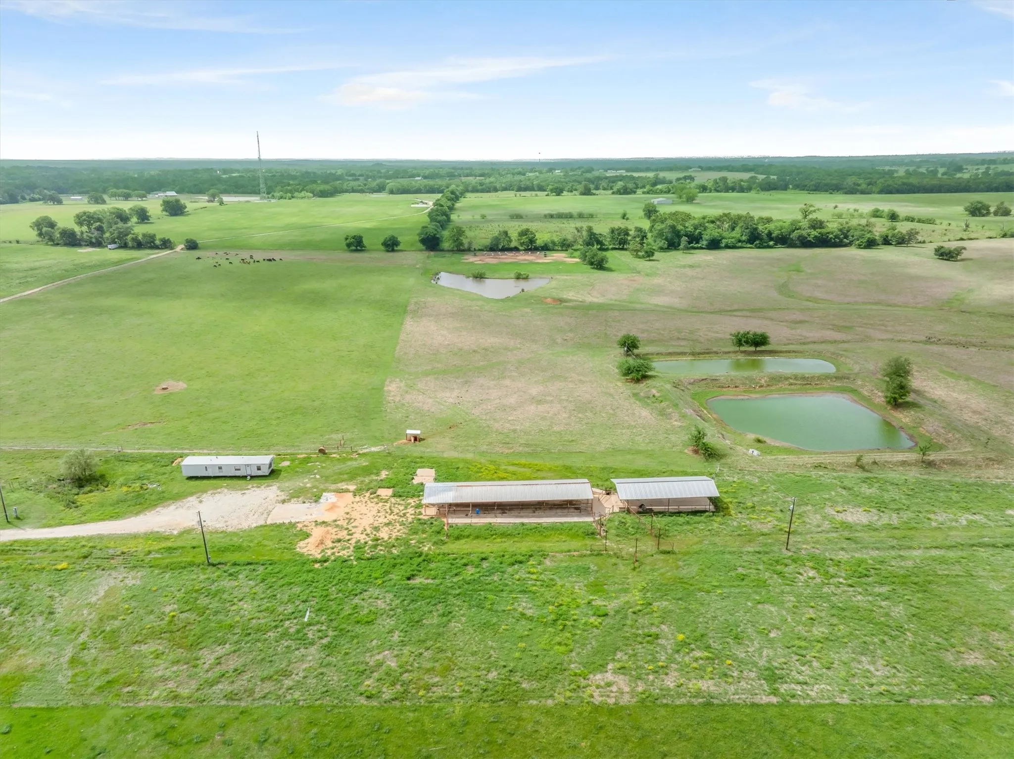 Unimproved Land For Sale in Van Zandt County , 609 VZ County Road 1117, Grand Saline, Texas 75140, 0, 0, Garage spaces, 0 Sqft, built in 1980, Price $110,000, mls#21263246, Real Estate Agent in Grand Saline, Homes For Sale in Van Zandt county, Homes For Sale in Grand Saline, Realtor in Grand Saline Texas, Real Estate Brokerage Independent Realty Texas, Luminita Cordes Realtor