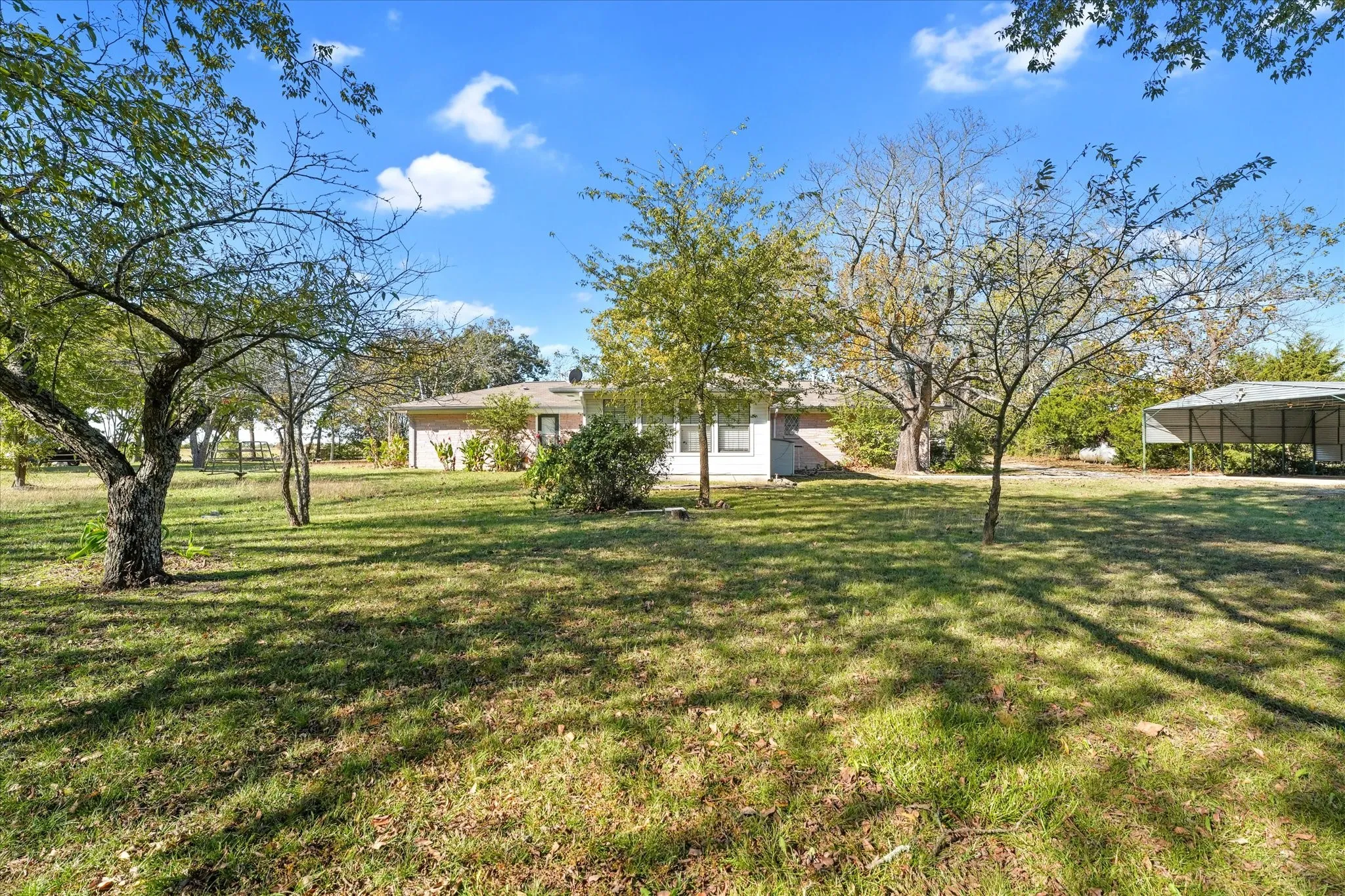 View of green lawn