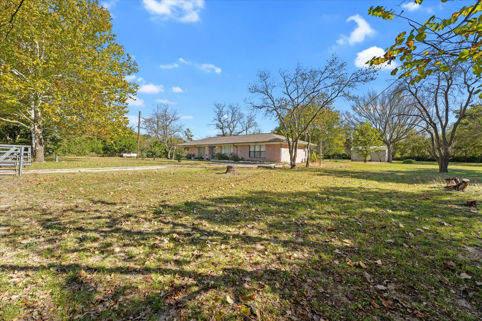 View of grassy yard
