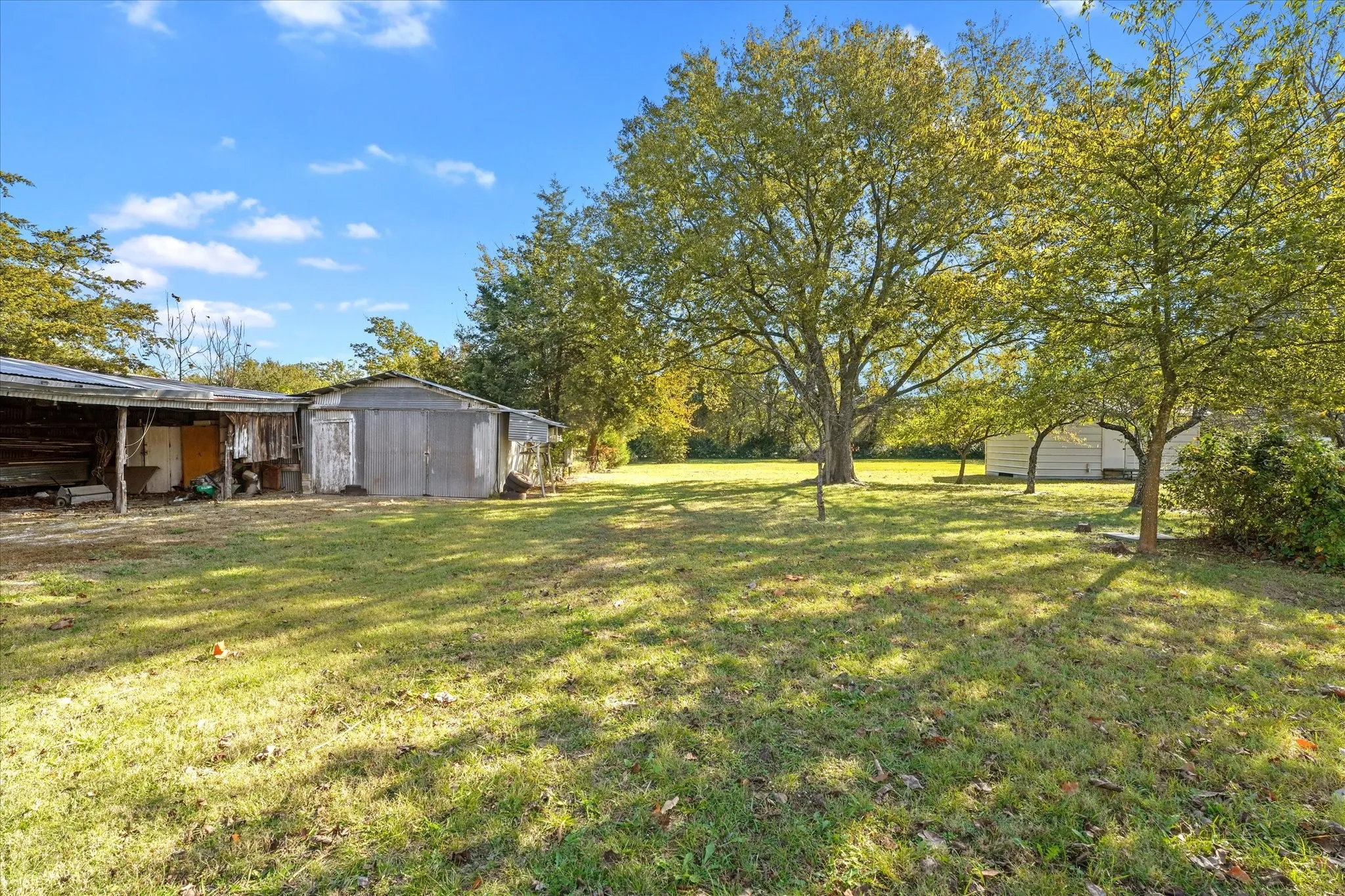 View of grassy yard with a shed