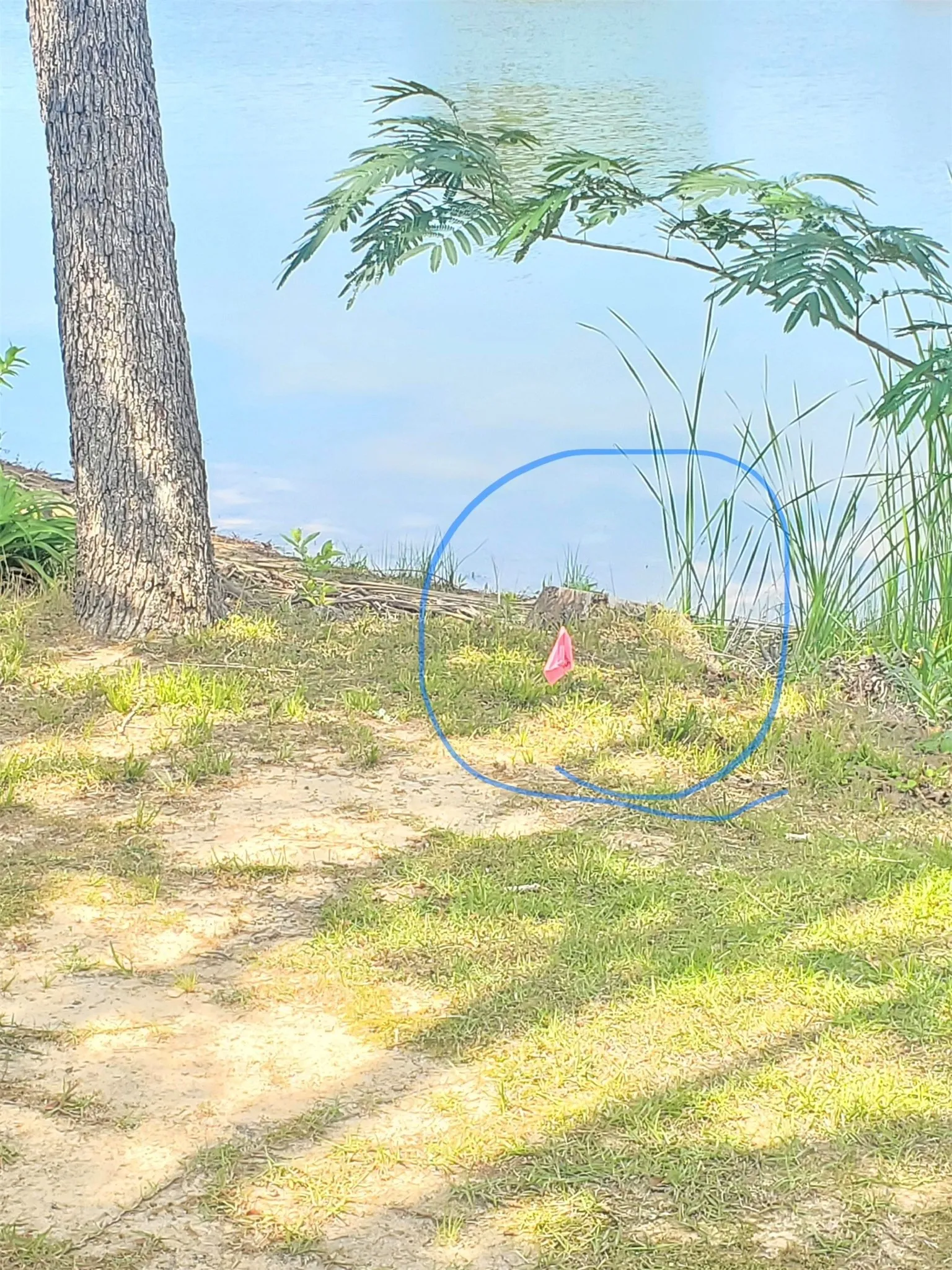 Boundary line by water