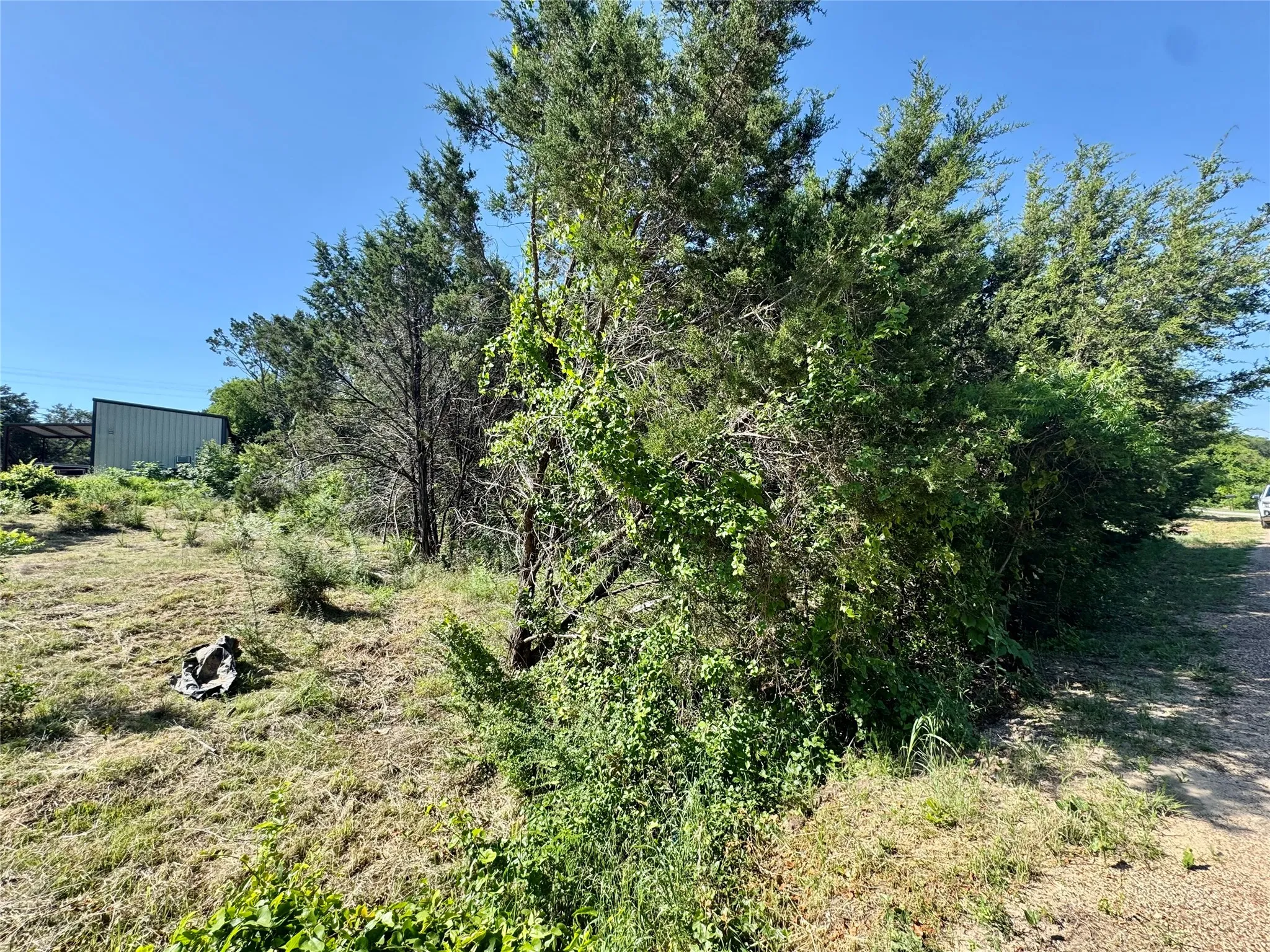 Unimproved Land For Sale in Hood County , 1033 Indian Drive, Granbury, Texas 76048, 0, 0, Garage spaces, 0 Sqft, built in 0, mls#21263313, Real Estate Agent in Granbury, Homes For Sale in Hood county, Homes For Sale in Granbury, Realtor in Granbury Texas, Real Estate Brokerage Independent Realty Texas, Luminita Cordes Realtor