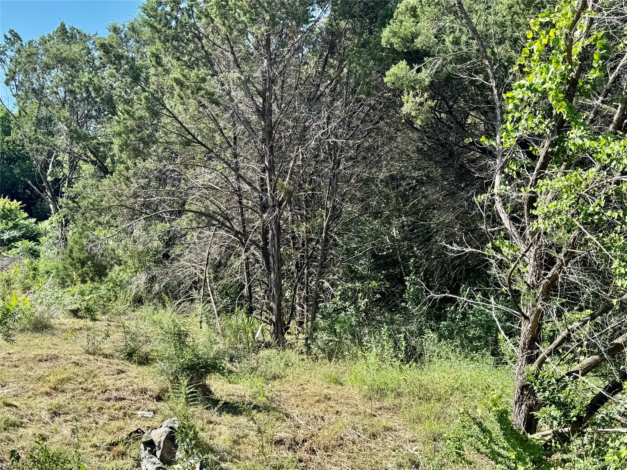 Unimproved Land For Sale in Hood County , 1033 Indian Drive, Granbury, Texas 76048, 0, 0, Garage spaces, 0 Sqft, built in 0, mls#21263313, Real Estate Agent in Granbury, Homes For Sale in Hood county, Homes For Sale in Granbury, Realtor in Granbury Texas, Real Estate Brokerage Independent Realty Texas, Luminita Cordes Realtor