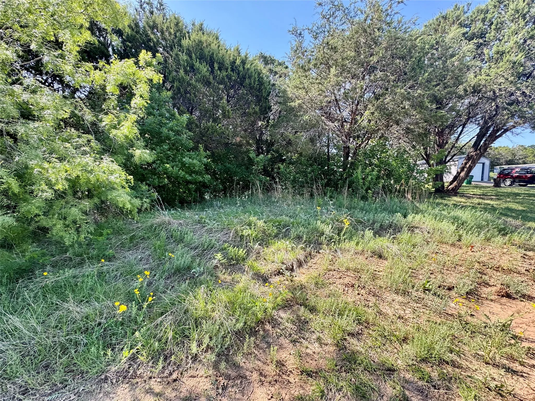 Unimproved Land For Sale in Hood County , 1033 Indian Drive, Granbury, Texas 76048, 0, 0, Garage spaces, 0 Sqft, built in 0, mls#21263313, Real Estate Agent in Granbury, Homes For Sale in Hood county, Homes For Sale in Granbury, Realtor in Granbury Texas, Real Estate Brokerage Independent Realty Texas, Luminita Cordes Realtor