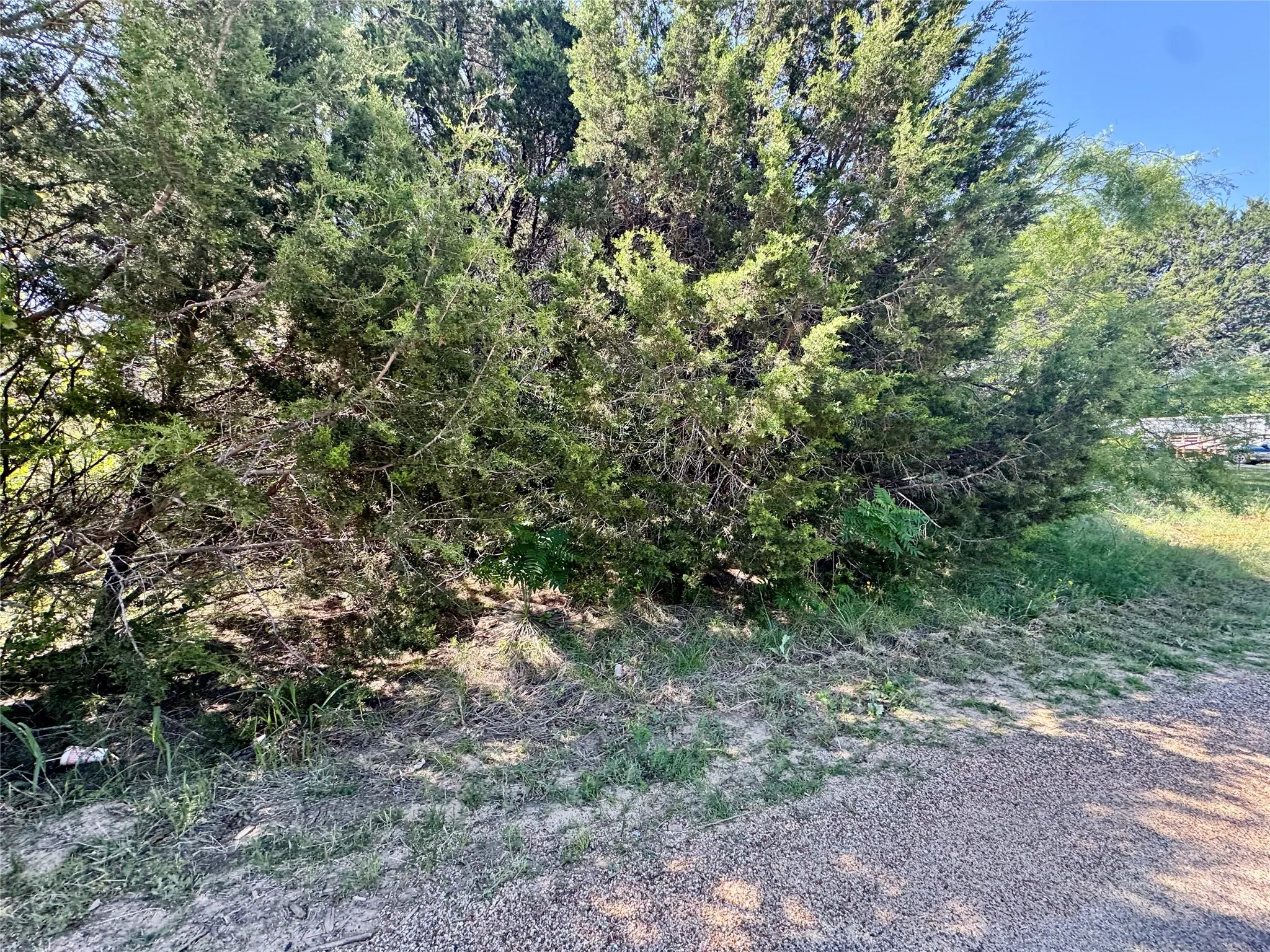 Unimproved Land For Sale in Hood County , 1033 Indian Drive, Granbury, Texas 76048, 0, 0, Garage spaces, 0 Sqft, built in 0, mls#21263313, Real Estate Agent in Granbury, Homes For Sale in Hood county, Homes For Sale in Granbury, Realtor in Granbury Texas, Real Estate Brokerage Independent Realty Texas, Luminita Cordes Realtor