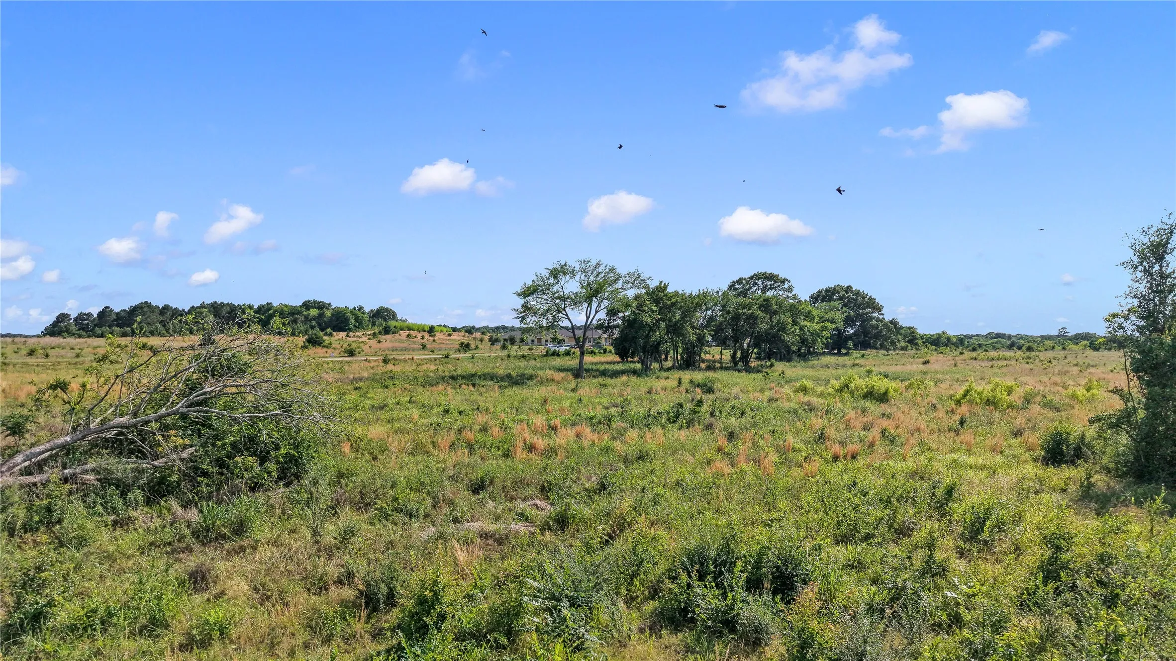 View from the corner of Loop 7 and SH 19 South
