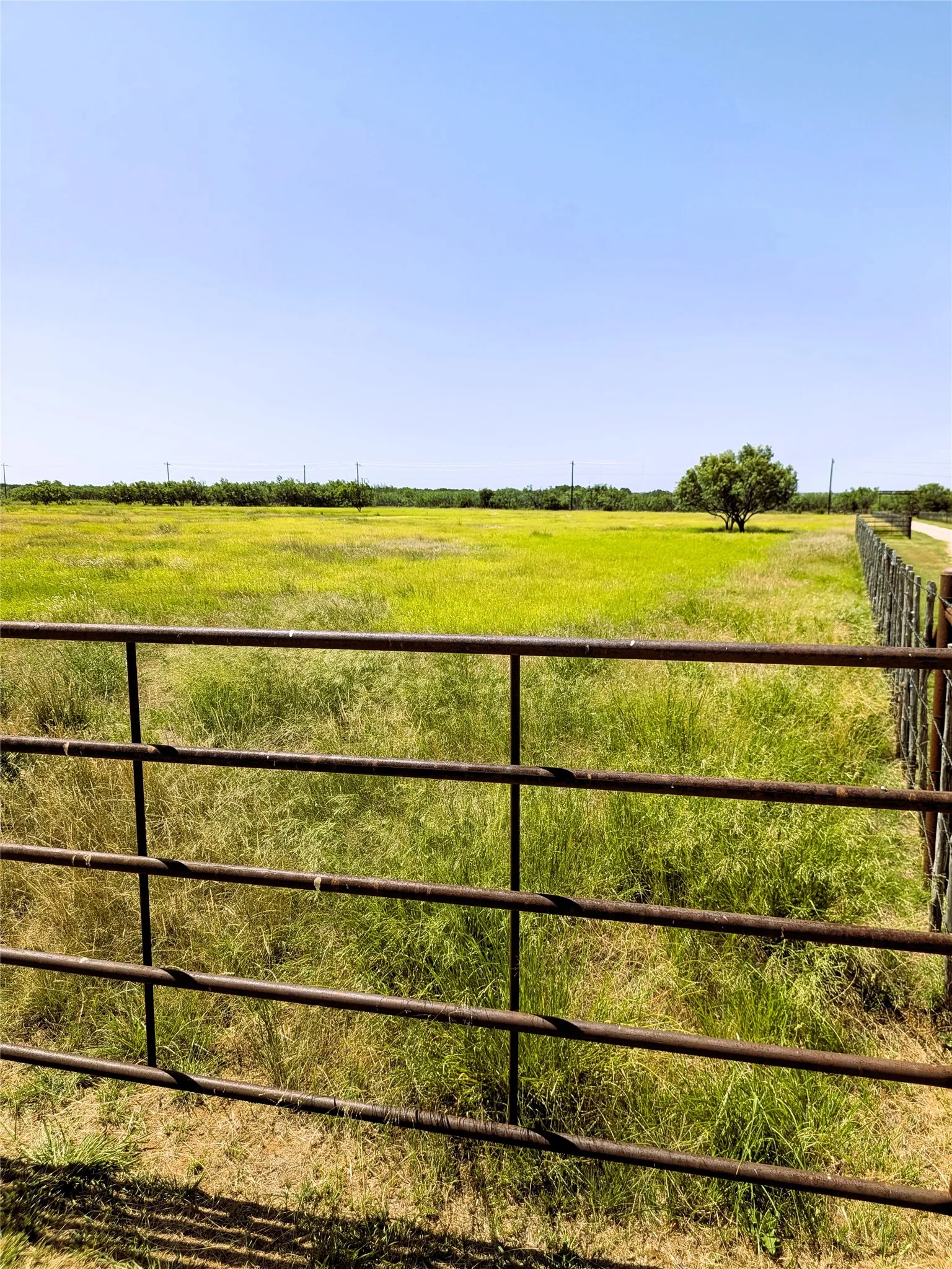 producing coastal field