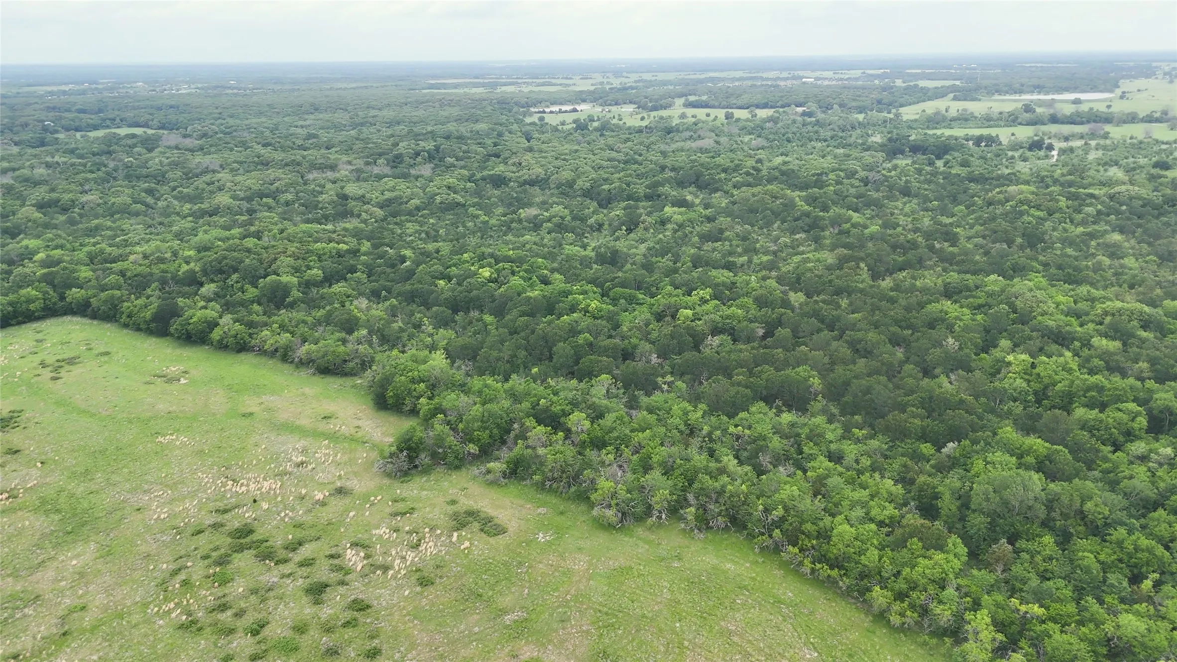 Ranch For Sale in Van Zandt County , 960 VZ CR 2705, Mabank, Texas 75147, 0, 0, Garage spaces, 0 Sqft, built in 1953, Price $9,600,000, mls#21263031, Real Estate Agent in Mabank, Homes For Sale in Van Zandt county, Homes For Sale in Mabank, Realtor in Mabank Texas, Real Estate Brokerage Independent Realty Texas, Luminita Cordes Realtor