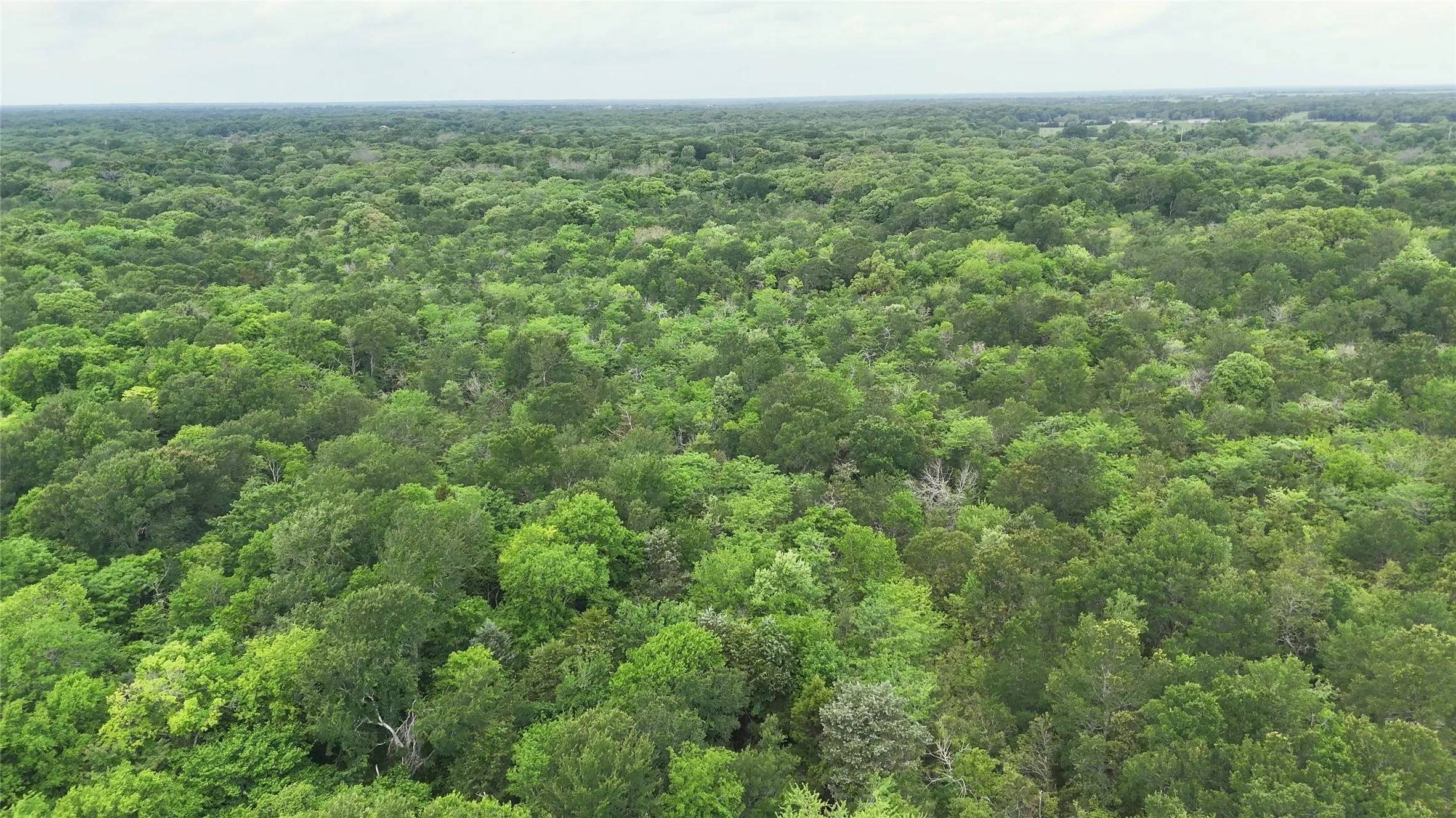 Ranch For Sale in Van Zandt County , 960 VZ CR 2705, Mabank, Texas 75147, 0, 0, Garage spaces, 0 Sqft, built in 1953, Price $9,600,000, mls#21263031, Real Estate Agent in Mabank, Homes For Sale in Van Zandt county, Homes For Sale in Mabank, Realtor in Mabank Texas, Real Estate Brokerage Independent Realty Texas, Luminita Cordes Realtor