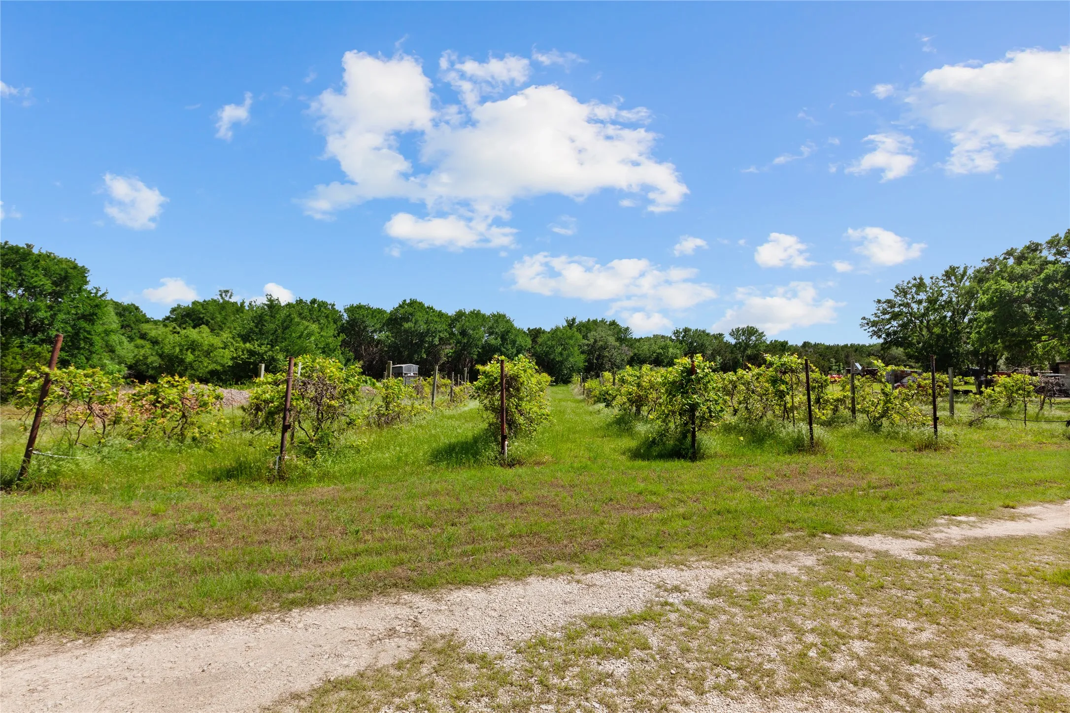 Manufactured Home For Sale in Bosque County , 106 Private Road 1381, Morgan, Texas 76671, 3 Bedroom, 2 Bathroom, Garage spaces, 1,320 Sqft, built in 2000, mls#21257624, Real Estate Agent in Morgan, Homes For Sale in Bosque county, Homes For Sale in Morgan, Realtor in Morgan Texas, Real Estate Brokerage Independent Realty Texas, Luminita Cordes Realtor