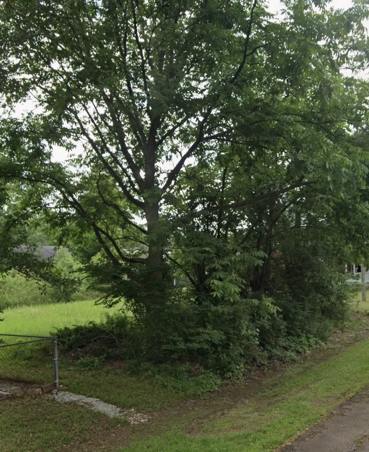 Improved Land For Sale in Bowie County , 2202 E Avenue B, Hooks, Texas 75561, 0, 0, Garage spaces, 0 Sqft, built in 0, mls#21263593, Real Estate Agent in Hooks, Homes For Sale in Bowie county, Homes For Sale in Hooks, Realtor in Hooks Texas, Real Estate Brokerage Independent Realty Texas, Luminita Cordes Realtor