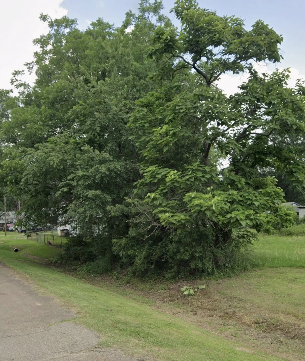 Improved Land For Sale in Bowie County , 2202 E Avenue B, Hooks, Texas 75561, 0, 0, Garage spaces, 0 Sqft, built in 0, mls#21263593, Real Estate Agent in Hooks, Homes For Sale in Bowie county, Homes For Sale in Hooks, Realtor in Hooks Texas, Real Estate Brokerage Independent Realty Texas, Luminita Cordes Realtor