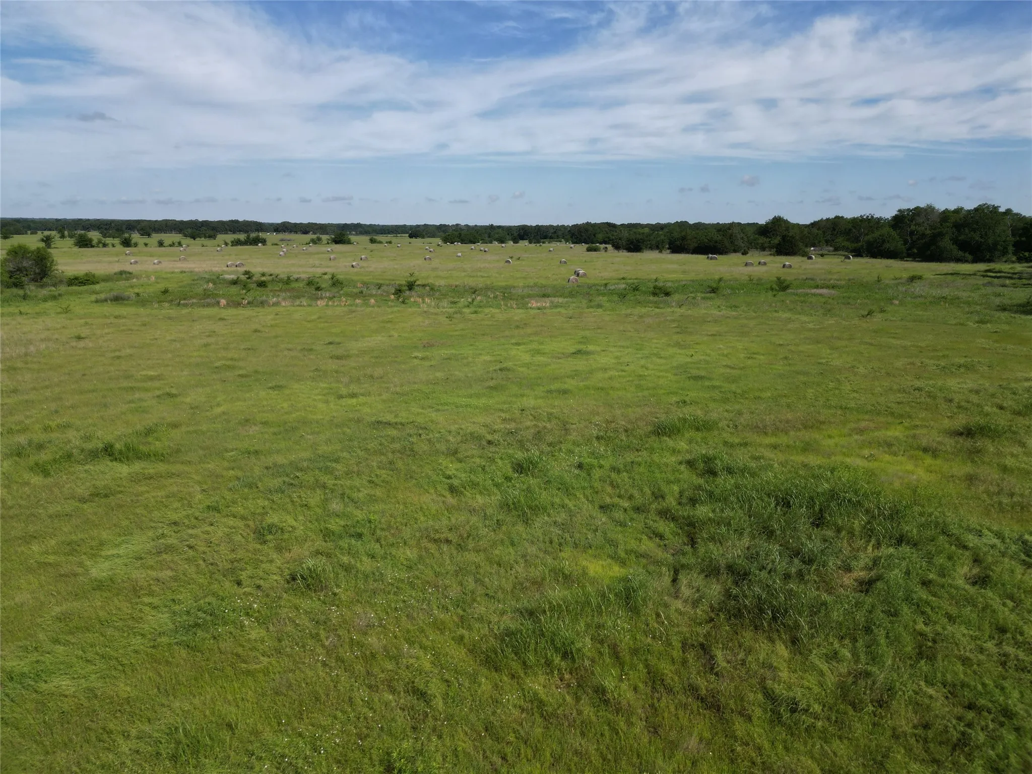 Ranch For Sale in Hopkins County , 7188 FM 1567 W, Miller Grove, Texas 75433, 0, 0, Garage spaces, 0 Sqft, built in 0, Price $599,500, mls#21252823, Real Estate Agent in Miller Grove, Homes For Sale in Hopkins county, Homes For Sale in Miller Grove, Realtor in Miller Grove Texas, Real Estate Brokerage Independent Realty Texas, Luminita Cordes Realtor