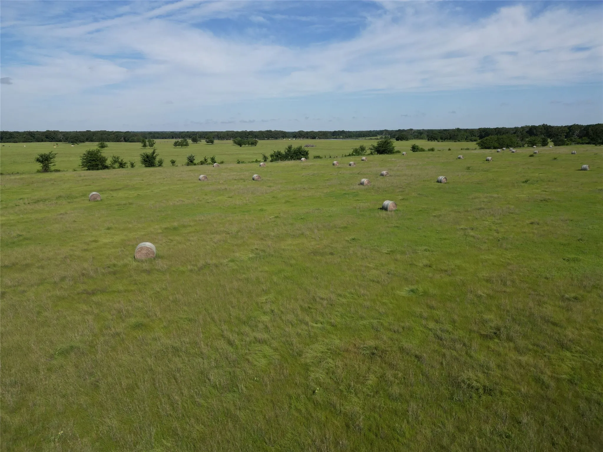 Ranch For Sale in Hopkins County , 7188 FM 1567 W, Miller Grove, Texas 75433, 0, 0, Garage spaces, 0 Sqft, built in 0, Price $599,500, mls#21252823, Real Estate Agent in Miller Grove, Homes For Sale in Hopkins county, Homes For Sale in Miller Grove, Realtor in Miller Grove Texas, Real Estate Brokerage Independent Realty Texas, Luminita Cordes Realtor