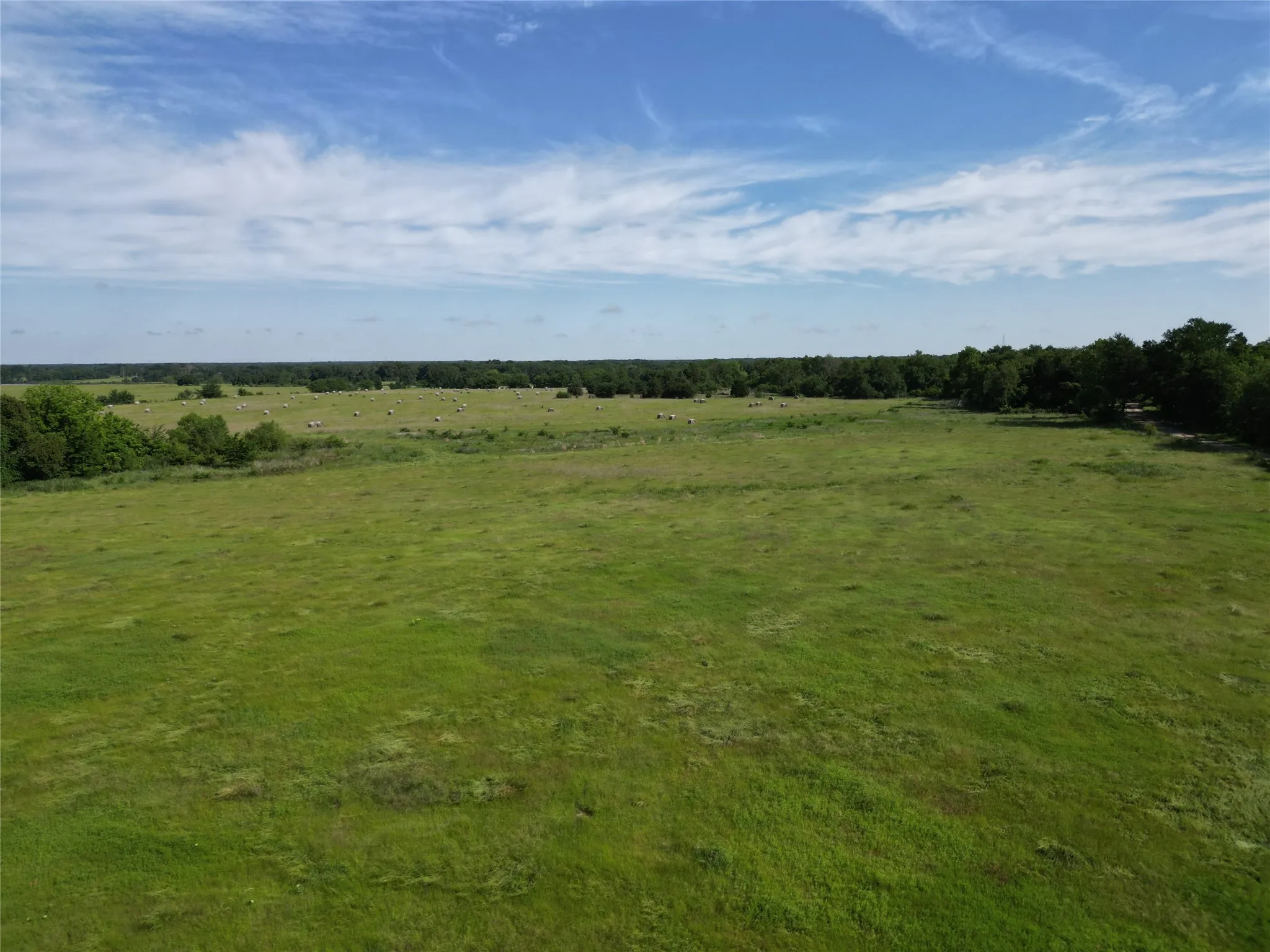 Ranch For Sale in Hopkins County , 7188 FM 1567 W, Miller Grove, Texas 75433, 0, 0, Garage spaces, 0 Sqft, built in 0, Price $599,500, mls#21252823, Real Estate Agent in Miller Grove, Homes For Sale in Hopkins county, Homes For Sale in Miller Grove, Realtor in Miller Grove Texas, Real Estate Brokerage Independent Realty Texas, Luminita Cordes Realtor