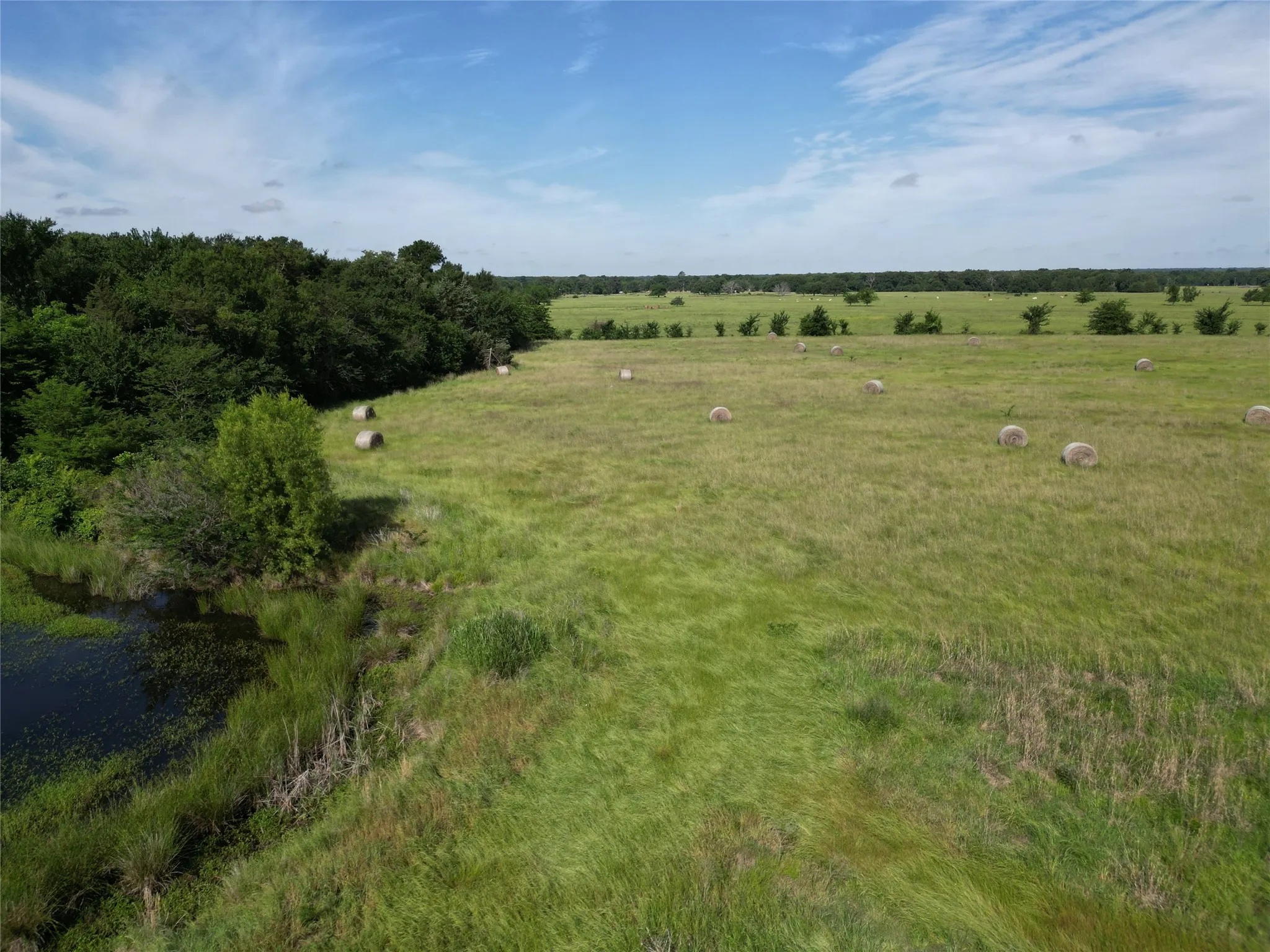 Ranch For Sale in Hopkins County , 7188 FM 1567 W, Miller Grove, Texas 75433, 0, 0, Garage spaces, 0 Sqft, built in 0, Price $599,500, mls#21252823, Real Estate Agent in Miller Grove, Homes For Sale in Hopkins county, Homes For Sale in Miller Grove, Realtor in Miller Grove Texas, Real Estate Brokerage Independent Realty Texas, Luminita Cordes Realtor