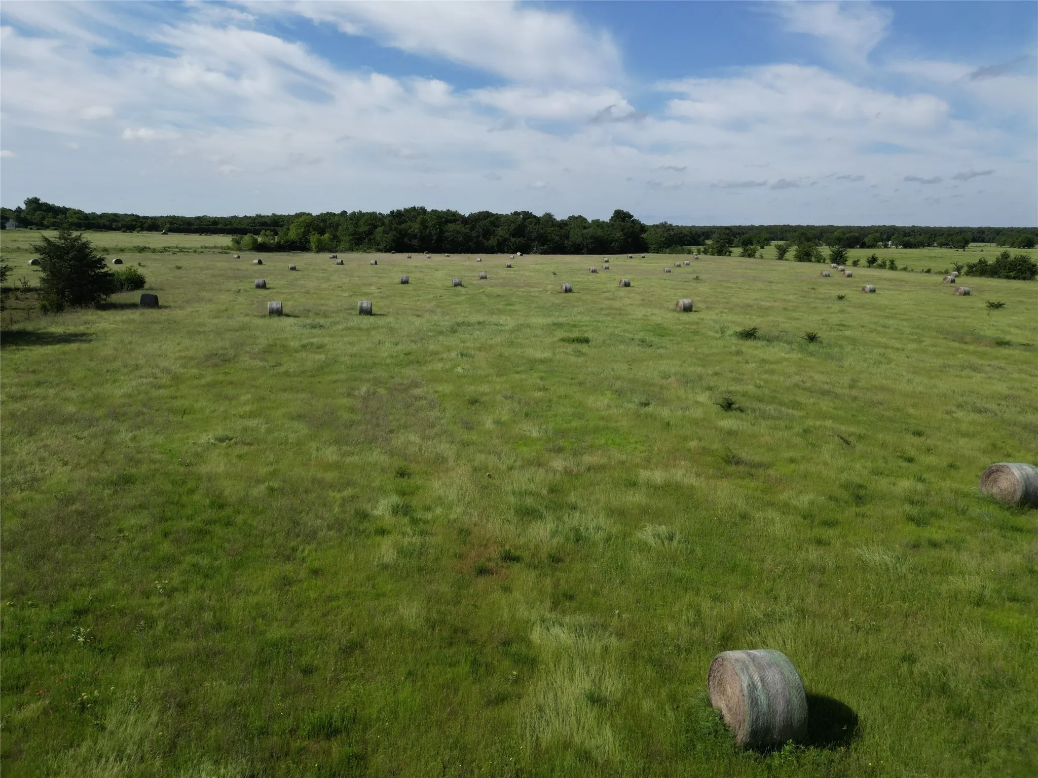 Ranch For Sale in Hopkins County , 7188 FM 1567 W, Miller Grove, Texas 75433, 0, 0, Garage spaces, 0 Sqft, built in 0, Price $599,500, mls#21252823, Real Estate Agent in Miller Grove, Homes For Sale in Hopkins county, Homes For Sale in Miller Grove, Realtor in Miller Grove Texas, Real Estate Brokerage Independent Realty Texas, Luminita Cordes Realtor
