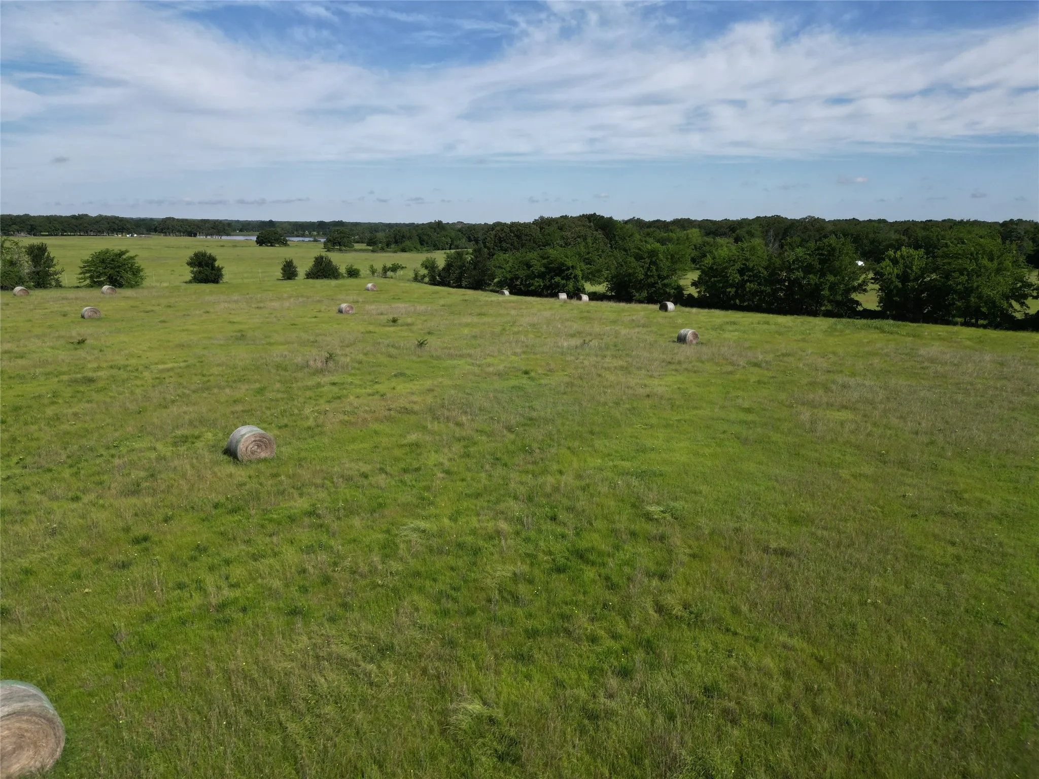 Ranch For Sale in Hopkins County , 7188 FM 1567 W, Miller Grove, Texas 75433, 0, 0, Garage spaces, 0 Sqft, built in 0, Price $599,500, mls#21252823, Real Estate Agent in Miller Grove, Homes For Sale in Hopkins county, Homes For Sale in Miller Grove, Realtor in Miller Grove Texas, Real Estate Brokerage Independent Realty Texas, Luminita Cordes Realtor