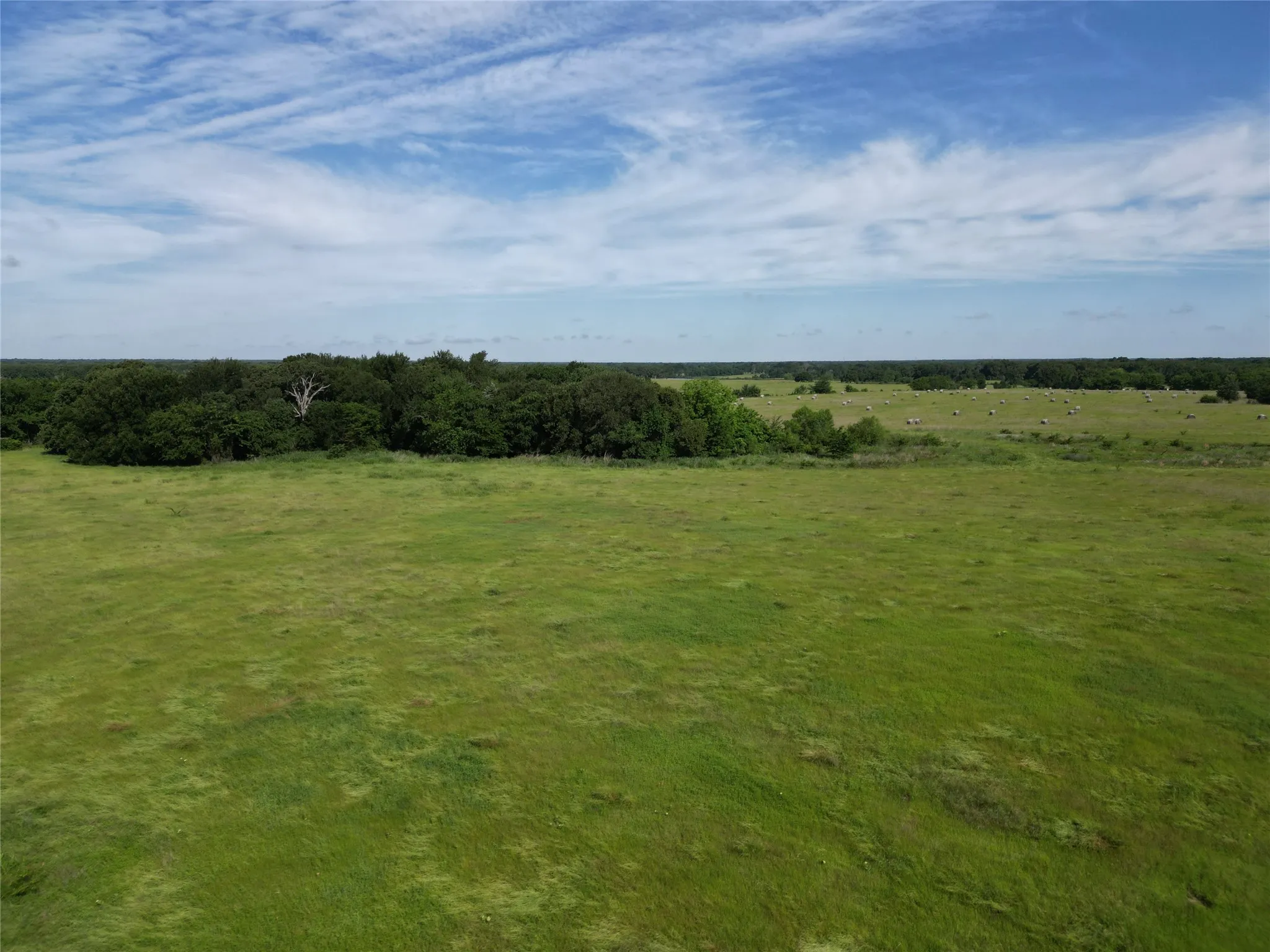 Ranch For Sale in Hopkins County , 7188 FM 1567 W, Miller Grove, Texas 75433, 0, 0, Garage spaces, 0 Sqft, built in 0, Price $599,500, mls#21252823, Real Estate Agent in Miller Grove, Homes For Sale in Hopkins county, Homes For Sale in Miller Grove, Realtor in Miller Grove Texas, Real Estate Brokerage Independent Realty Texas, Luminita Cordes Realtor
