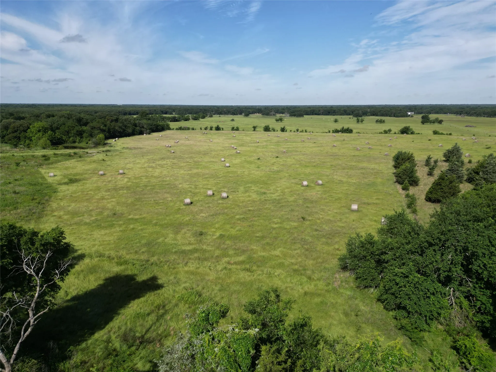 Ranch For Sale in Hopkins County , 7188 FM 1567 W, Miller Grove, Texas 75433, 0, 0, Garage spaces, 0 Sqft, built in 0, Price $599,500, mls#21252823, Real Estate Agent in Miller Grove, Homes For Sale in Hopkins county, Homes For Sale in Miller Grove, Realtor in Miller Grove Texas, Real Estate Brokerage Independent Realty Texas, Luminita Cordes Realtor