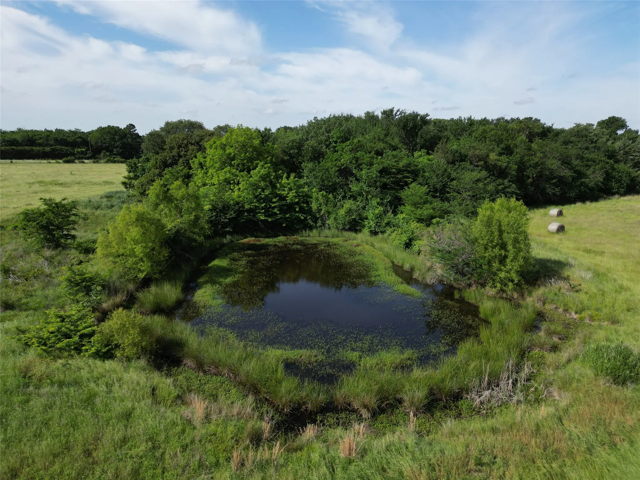 Ranch For Sale in Hopkins County , 7188 FM 1567 W, Miller Grove, Texas 75433, 0, 0, Garage spaces, 0 Sqft, built in 0, Price $599,500, mls#21252823, Real Estate Agent in Miller Grove, Homes For Sale in Hopkins county, Homes For Sale in Miller Grove, Realtor in Miller Grove Texas, Real Estate Brokerage Independent Realty Texas, Luminita Cordes Realtor