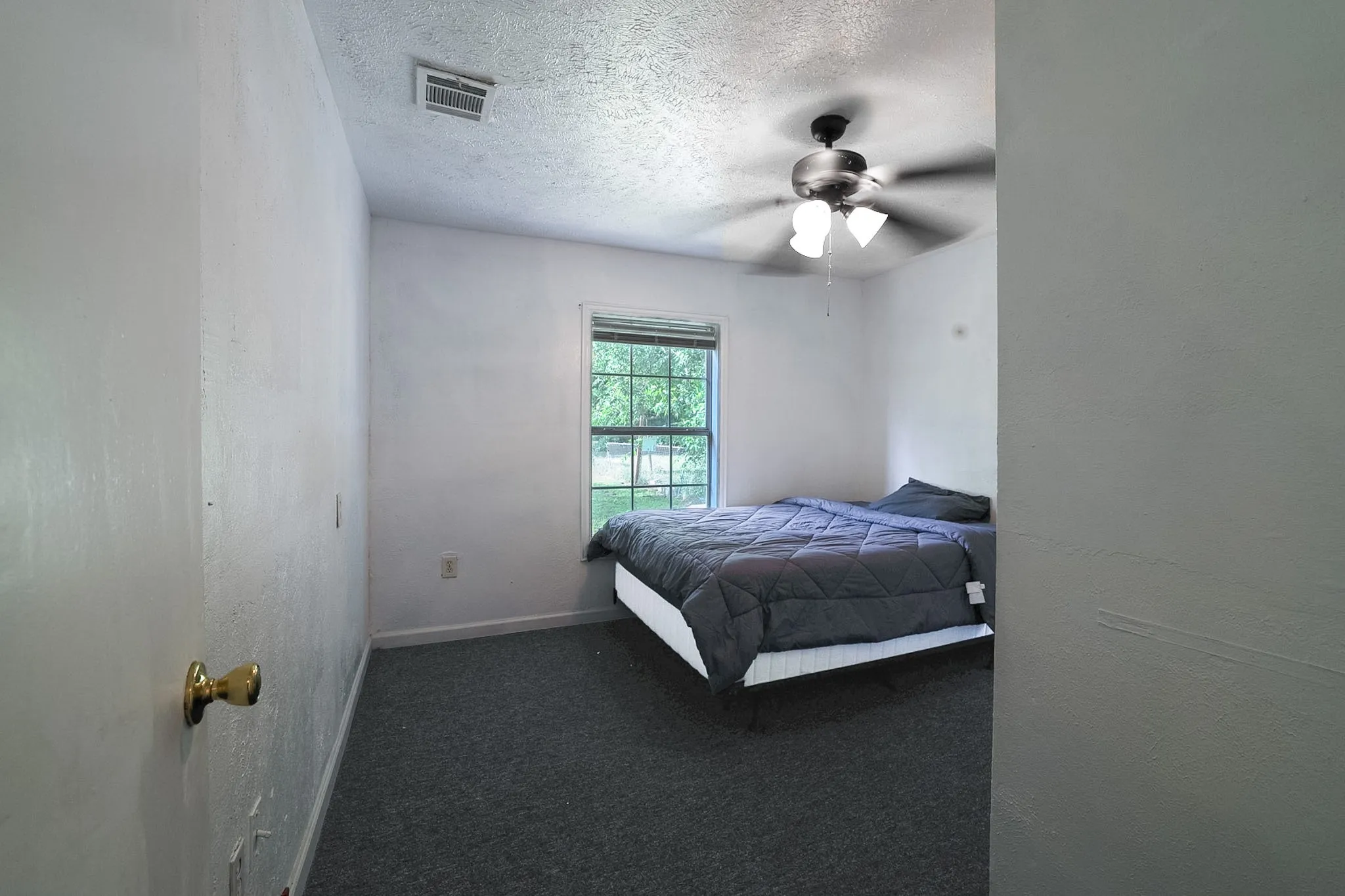 Carpeted room featuring a window with exterior foliage, white walls, and a ceiling fan with light fixture