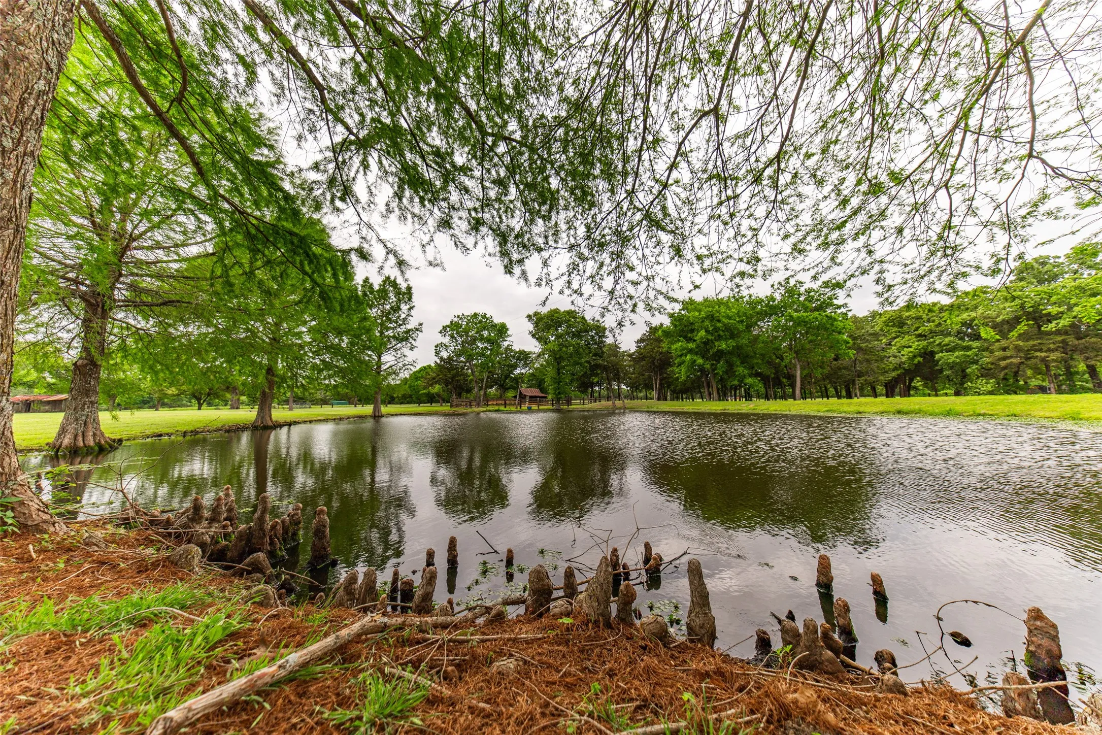 Single Family Residence For Sale in Van Zandt County , 1050 Vz County Road 3704, Wills Point, Texas 75169, 4 Bedrooms, 5 Bathrooms, 4 Garage spaces, 4,023 Sqft, built in 2002, Price $3,750,000, mls#21263624, Real Estate Agent in Wills Point, Homes For Sale in Van Zandt county, Homes For Sale in Wills Point, Realtor in Wills Point Texas, Real Estate Brokerage Independent Realty Texas, Luminita Cordes Realtor