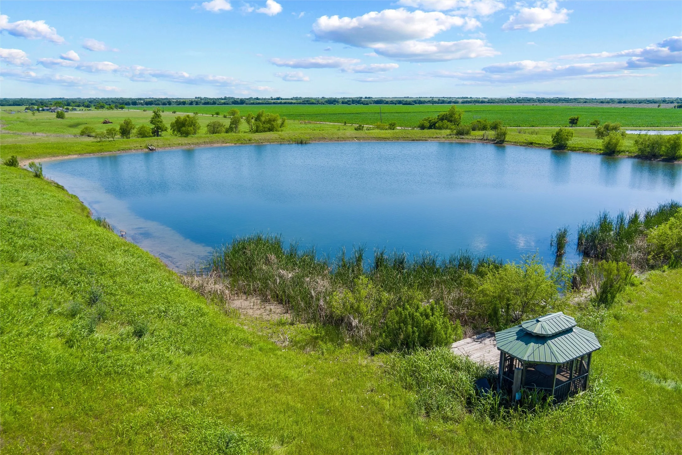 Unimproved Land For Sale in Johnson County , 9817 County Road 408, Grandview, Texas 76050, 0, 0, Garage spaces, 0 Sqft, built in 0, mls#21260519, Real Estate Agent in Grandview, Homes For Sale in Johnson county, Homes For Sale in Grandview, Realtor in Grandview Texas, Real Estate Brokerage Independent Realty Texas, Luminita Cordes Realtor