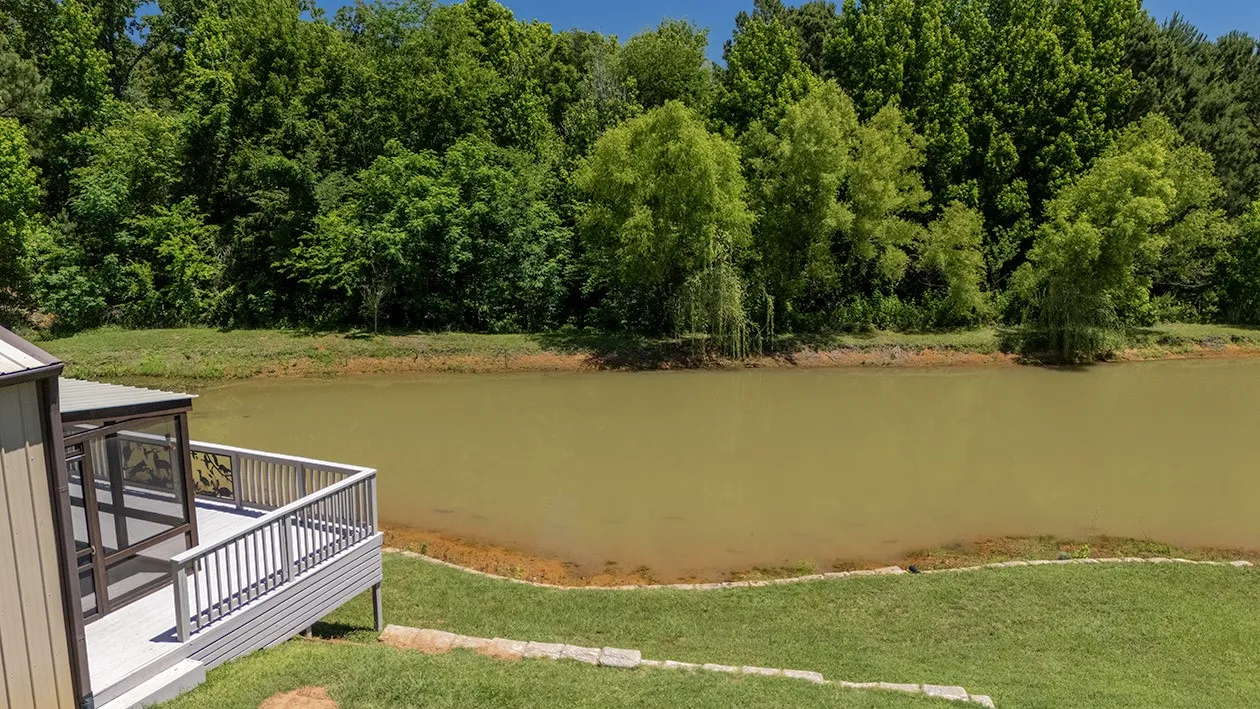 Look close & you can see the blue catfish near the banks