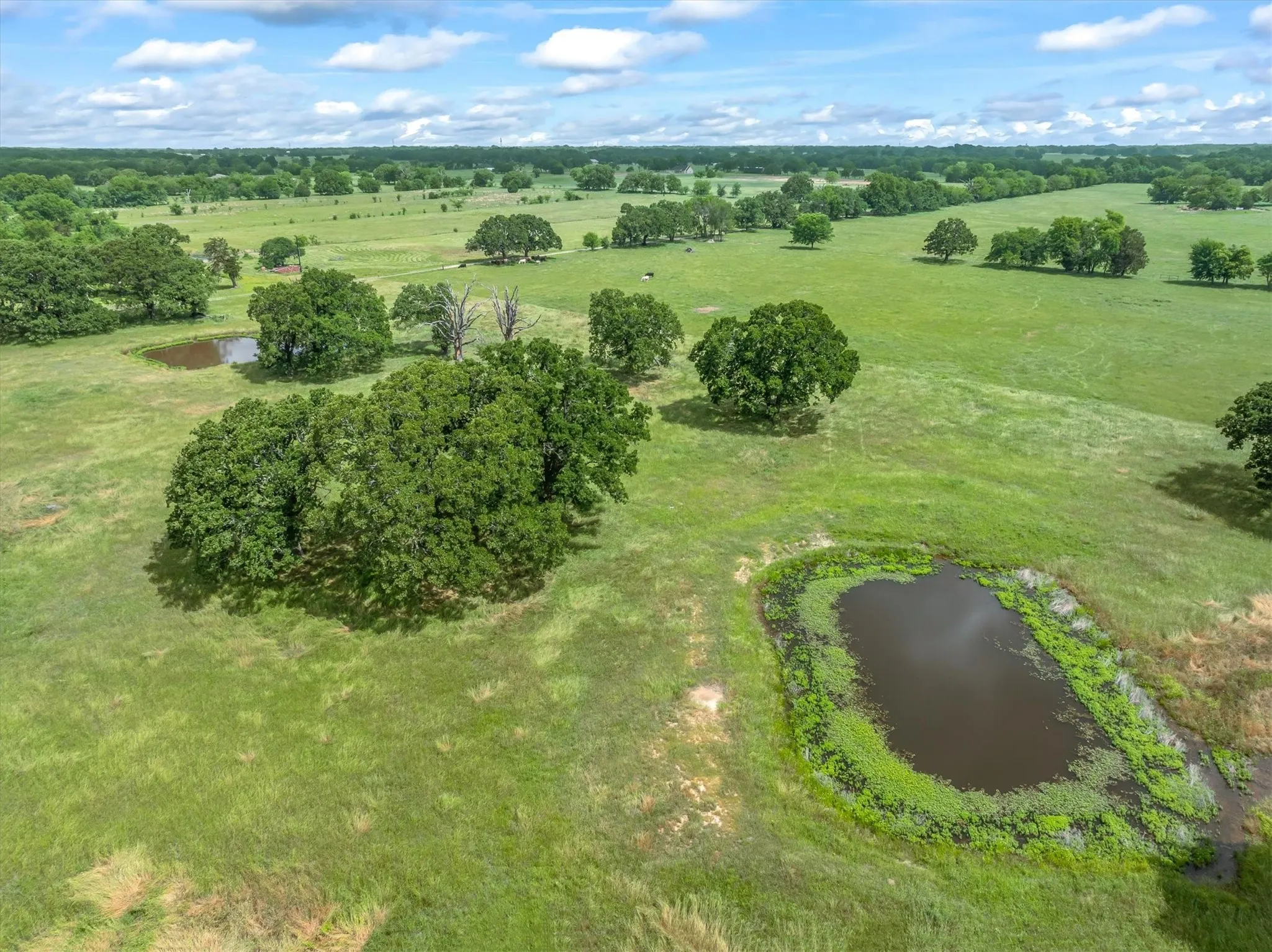 Unimproved Land For Sale in Van Zandt County , TBD FM-1395, Edgewood, Texas 75117, 0, 0, Garage spaces, 0 Sqft, built in 0, Price $279,000, mls#21263690, Real Estate Agent in Edgewood, Homes For Sale in Van Zandt county, Homes For Sale in Edgewood, Realtor in Edgewood Texas, Real Estate Brokerage Independent Realty Texas, Luminita Cordes Realtor