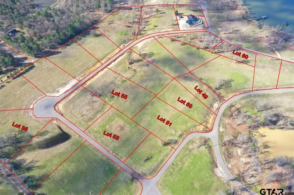Unimproved Land For Sale in Camp County , Lot 51 South Shores, Pittsburg, Texas 75686, 0, 0, Garage spaces, 0 Sqft, built in 0, Price $35,000, mls#21263730, Real Estate Agent in Pittsburg, Homes For Sale in Camp county, Homes For Sale in Pittsburg, Realtor in Pittsburg Texas, Real Estate Brokerage Independent Realty Texas, Luminita Cordes Realtor
