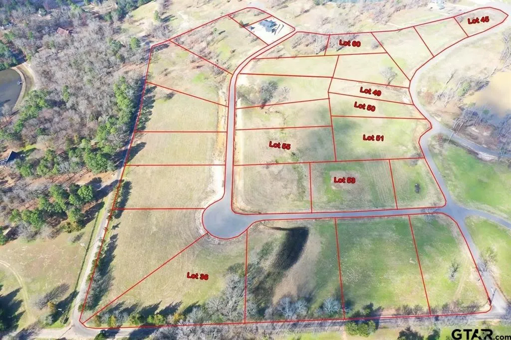 Unimproved Land For Sale in Camp County , Lot 51 South Shores, Pittsburg, Texas 75686, 0, 0, Garage spaces, 0 Sqft, built in 0, Price $35,000, mls#21263730, Real Estate Agent in Pittsburg, Homes For Sale in Camp county, Homes For Sale in Pittsburg, Realtor in Pittsburg Texas, Real Estate Brokerage Independent Realty Texas, Luminita Cordes Realtor
