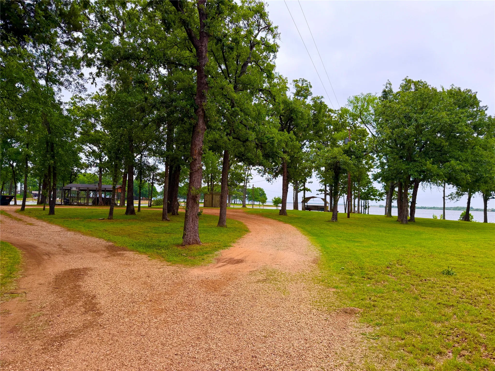 Community Park
