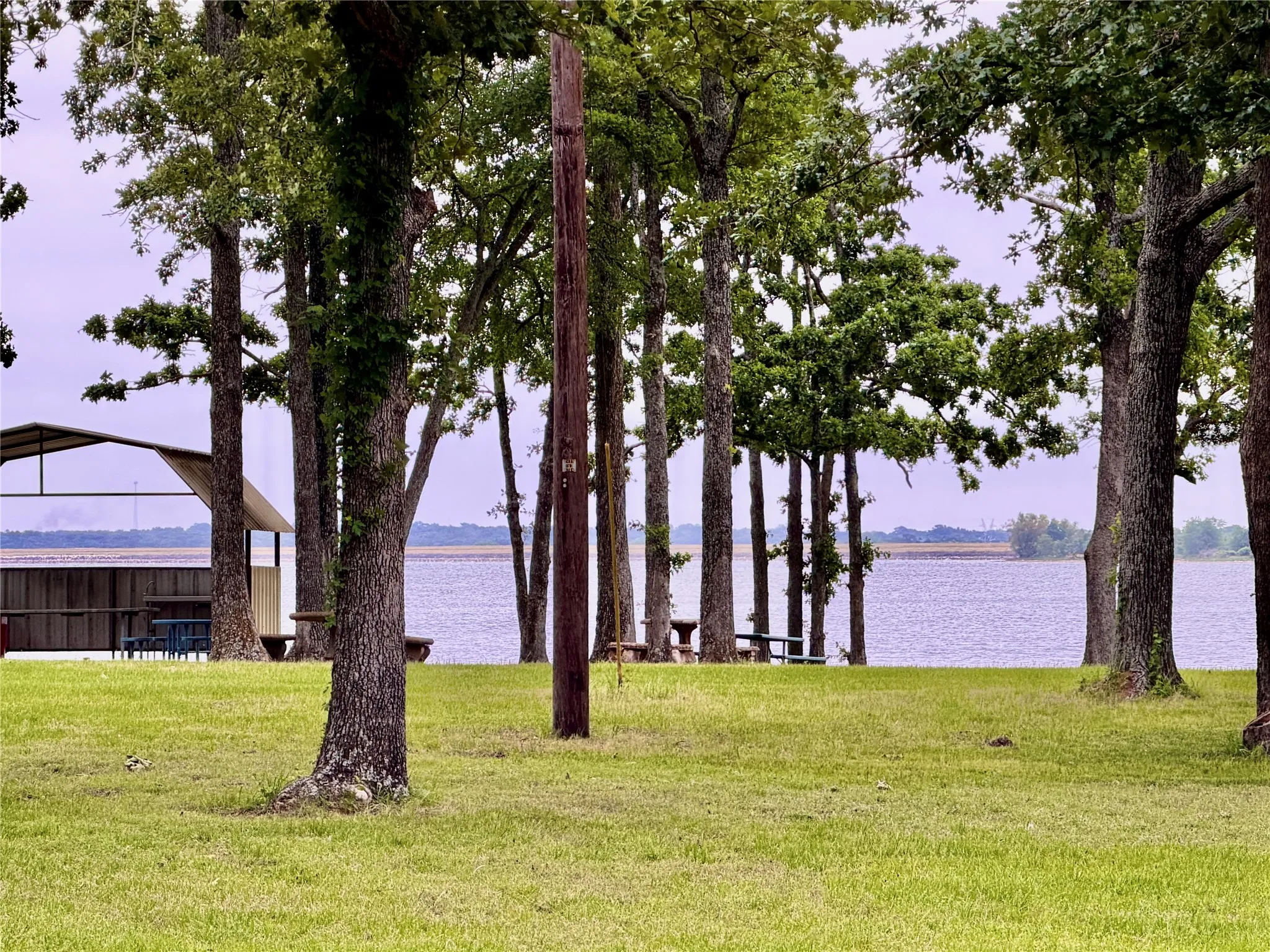 Community Park