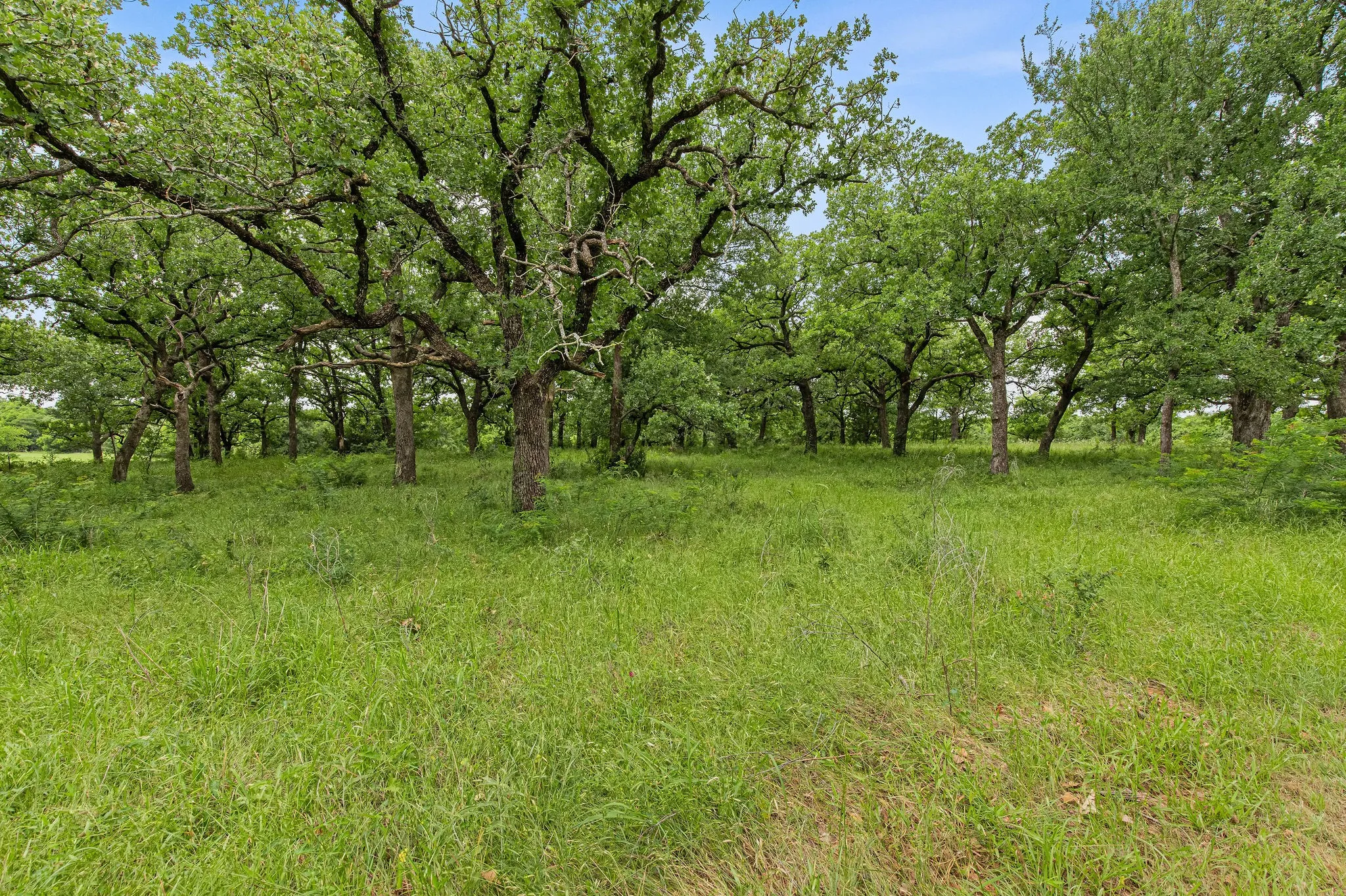 Unimproved Land For Sale in Wise County , 1999 Sunflower Road, Paradise, Texas 76073, 0, 0, Garage spaces, 0 Sqft, built in 0, Price $120,000, mls#21262464, Real Estate Agent in Paradise, Homes For Sale in Wise county, Homes For Sale in Paradise, Realtor in Paradise Texas, Real Estate Brokerage Independent Realty Texas, Luminita Cordes Realtor