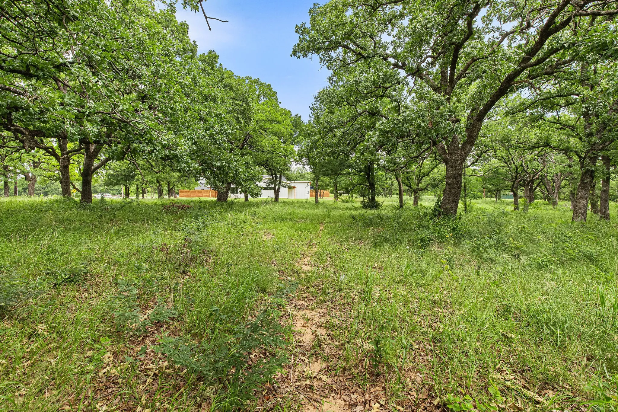 Unimproved Land For Sale in Wise County , 1999 Sunflower Road, Paradise, Texas 76073, 0, 0, Garage spaces, 0 Sqft, built in 0, Price $120,000, mls#21262464, Real Estate Agent in Paradise, Homes For Sale in Wise county, Homes For Sale in Paradise, Realtor in Paradise Texas, Real Estate Brokerage Independent Realty Texas, Luminita Cordes Realtor