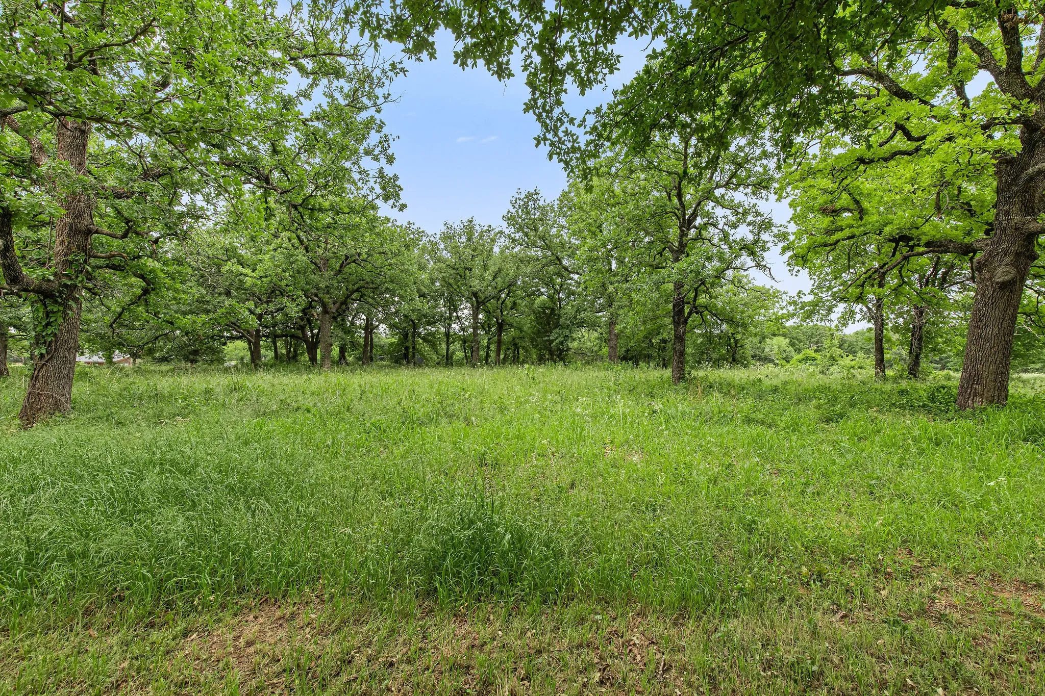 Unimproved Land For Sale in Wise County , 1999 Sunflower Road, Paradise, Texas 76073, 0, 0, Garage spaces, 0 Sqft, built in 0, Price $120,000, mls#21262464, Real Estate Agent in Paradise, Homes For Sale in Wise county, Homes For Sale in Paradise, Realtor in Paradise Texas, Real Estate Brokerage Independent Realty Texas, Luminita Cordes Realtor
