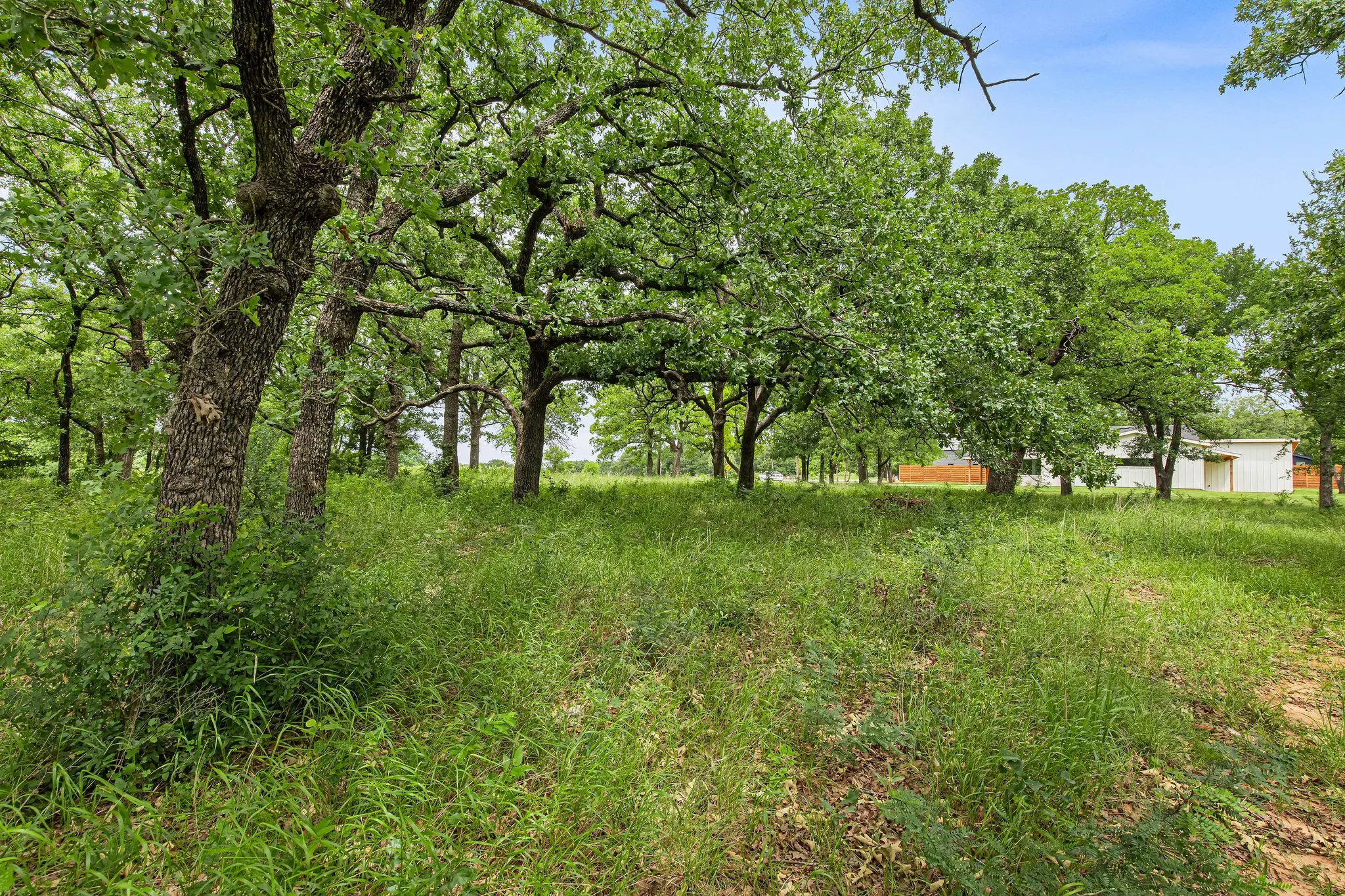 Unimproved Land For Sale in Wise County , 1999 Sunflower Road, Paradise, Texas 76073, 0, 0, Garage spaces, 0 Sqft, built in 0, Price $120,000, mls#21262464, Real Estate Agent in Paradise, Homes For Sale in Wise county, Homes For Sale in Paradise, Realtor in Paradise Texas, Real Estate Brokerage Independent Realty Texas, Luminita Cordes Realtor