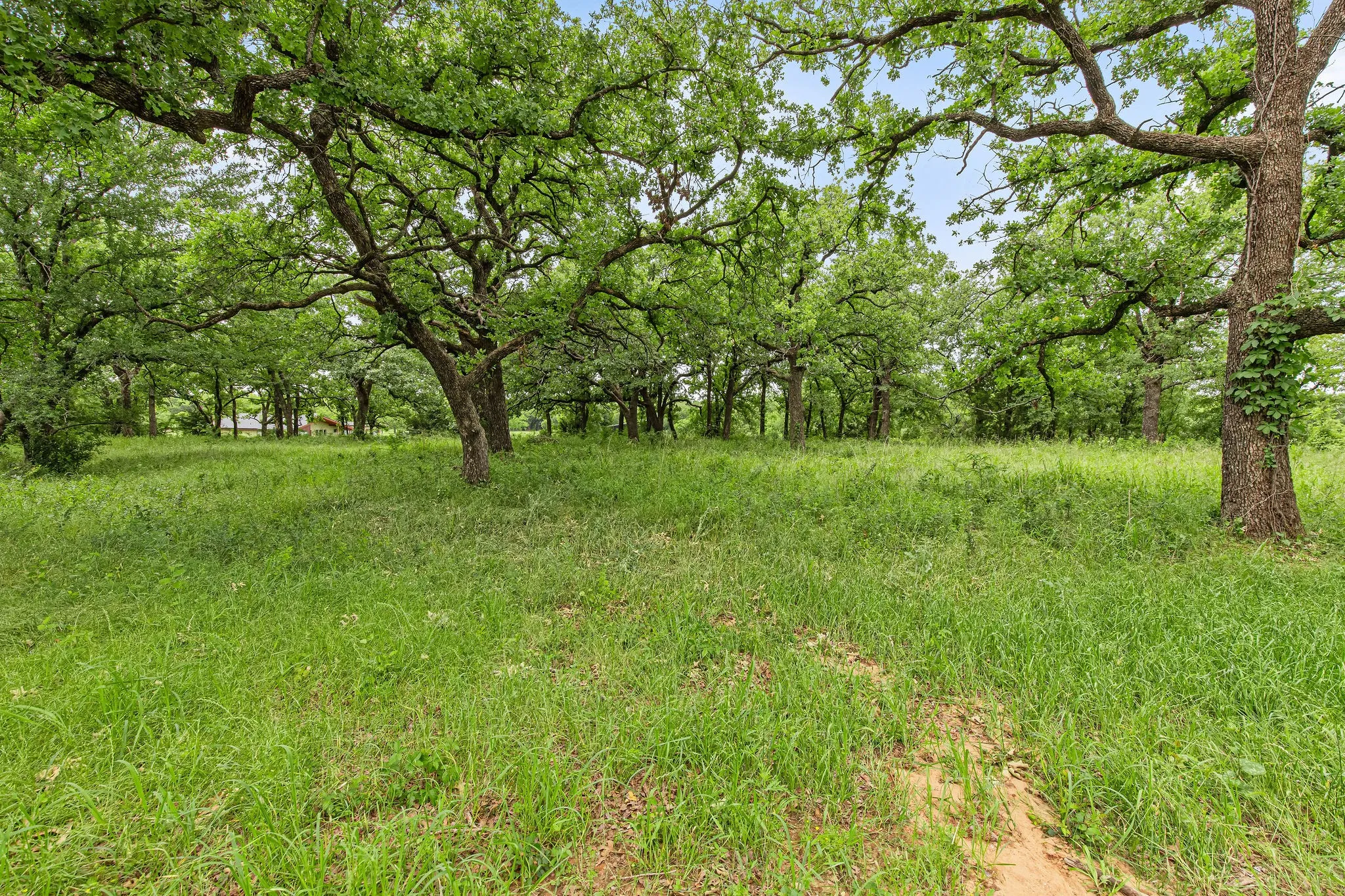 Unimproved Land For Sale in Wise County , 1999 Sunflower Road, Paradise, Texas 76073, 0, 0, Garage spaces, 0 Sqft, built in 0, Price $120,000, mls#21262464, Real Estate Agent in Paradise, Homes For Sale in Wise county, Homes For Sale in Paradise, Realtor in Paradise Texas, Real Estate Brokerage Independent Realty Texas, Luminita Cordes Realtor