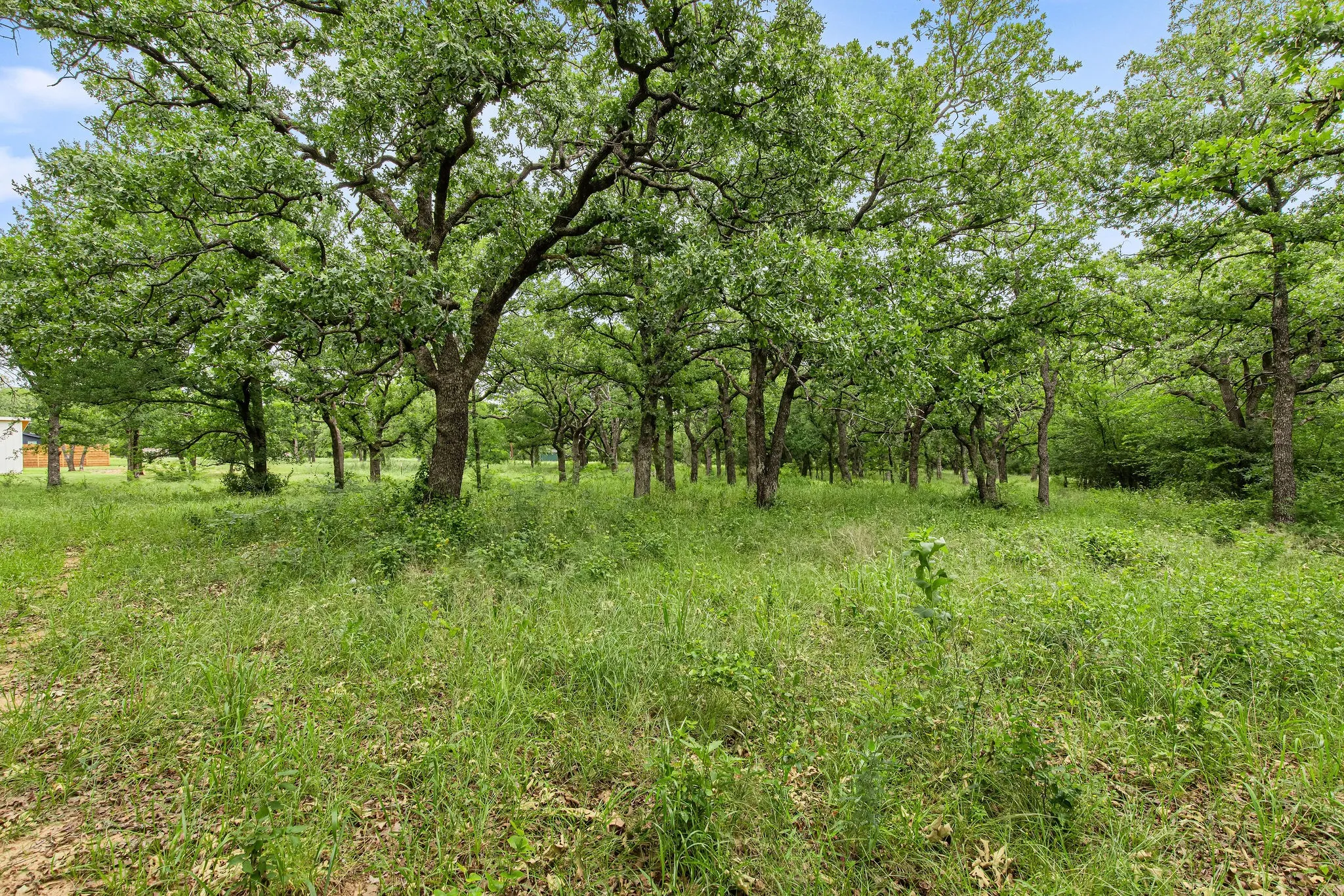 Unimproved Land For Sale in Wise County , 1999 Sunflower Road, Paradise, Texas 76073, 0, 0, Garage spaces, 0 Sqft, built in 0, Price $120,000, mls#21262464, Real Estate Agent in Paradise, Homes For Sale in Wise county, Homes For Sale in Paradise, Realtor in Paradise Texas, Real Estate Brokerage Independent Realty Texas, Luminita Cordes Realtor