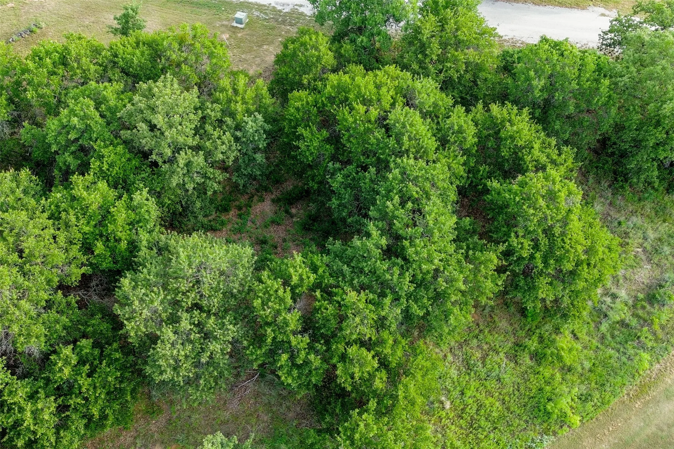 Unimproved Land For Sale in Eastland County , TBD Oakwood Trail, Eastland, Texas 76448, 0, 0, Garage spaces, 0 Sqft, built in 0, mls#21263766, Real Estate Agent in Eastland, Homes For Sale in Eastland county, Homes For Sale in Eastland, Realtor in Eastland Texas, Real Estate Brokerage Independent Realty Texas, Luminita Cordes Realtor