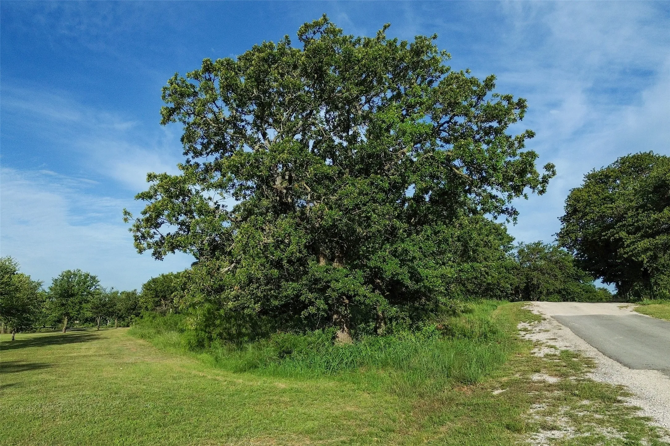 Unimproved Land For Sale in Eastland County , TBD Oakwood Trail, Eastland, Texas 76448, 0, 0, Garage spaces, 0 Sqft, built in 0, mls#21263766, Real Estate Agent in Eastland, Homes For Sale in Eastland county, Homes For Sale in Eastland, Realtor in Eastland Texas, Real Estate Brokerage Independent Realty Texas, Luminita Cordes Realtor