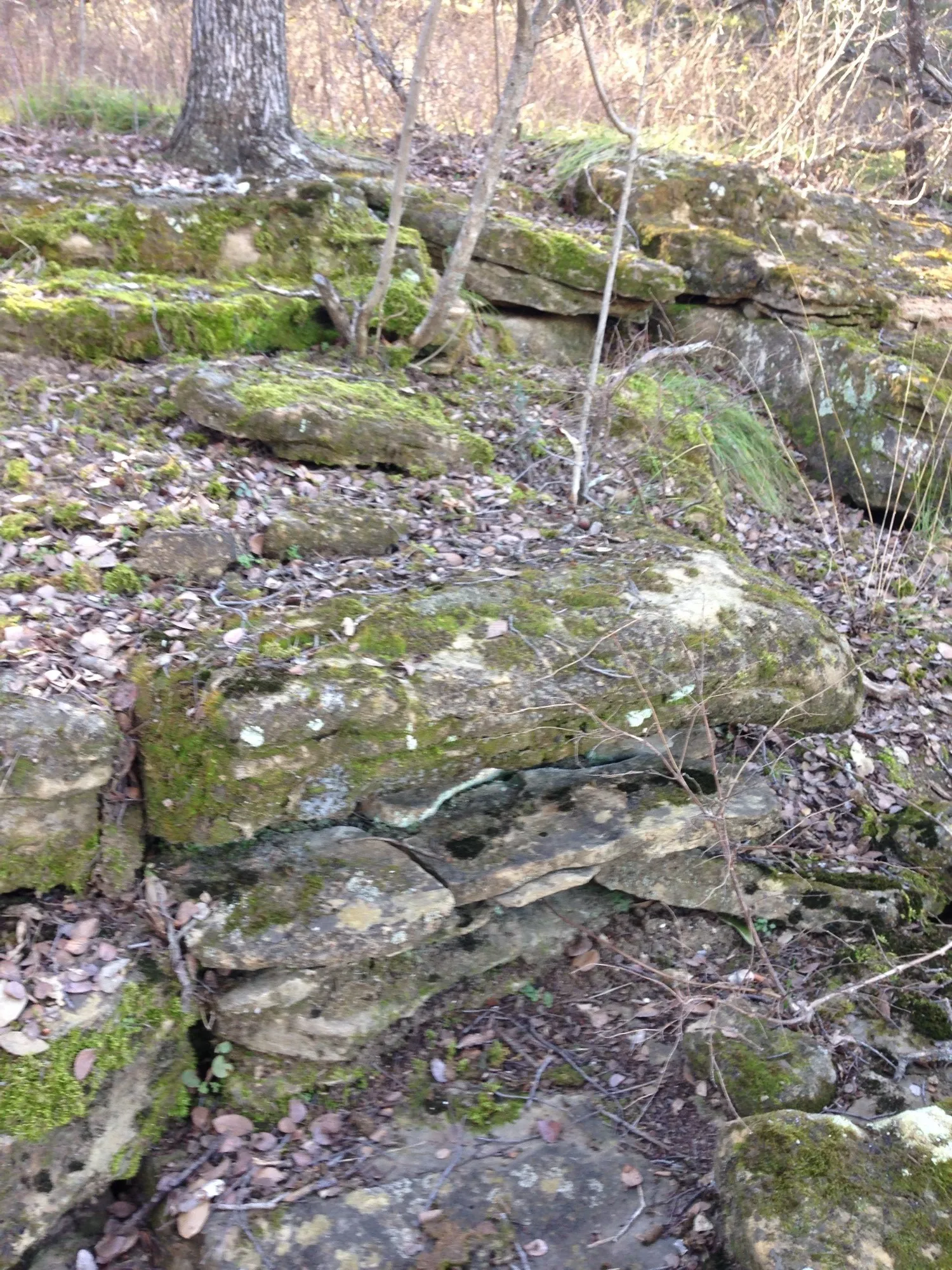 Unimproved Land For Sale in Palo Pinto County , Lot 694 Balcones Lane, Possum Kingdom Lake, Texas 76449, 0, 0, Garage spaces, 0 Sqft, built in 0, Price $78,500, mls#21252828, Real Estate Agent in Possum Kingdom Lake, Homes For Sale in Palo Pinto county, Homes For Sale in Possum Kingdom Lake, Realtor in Possum Kingdom Lake Texas, Real Estate Brokerage Independent Realty Texas, Luminita Cordes Realtor