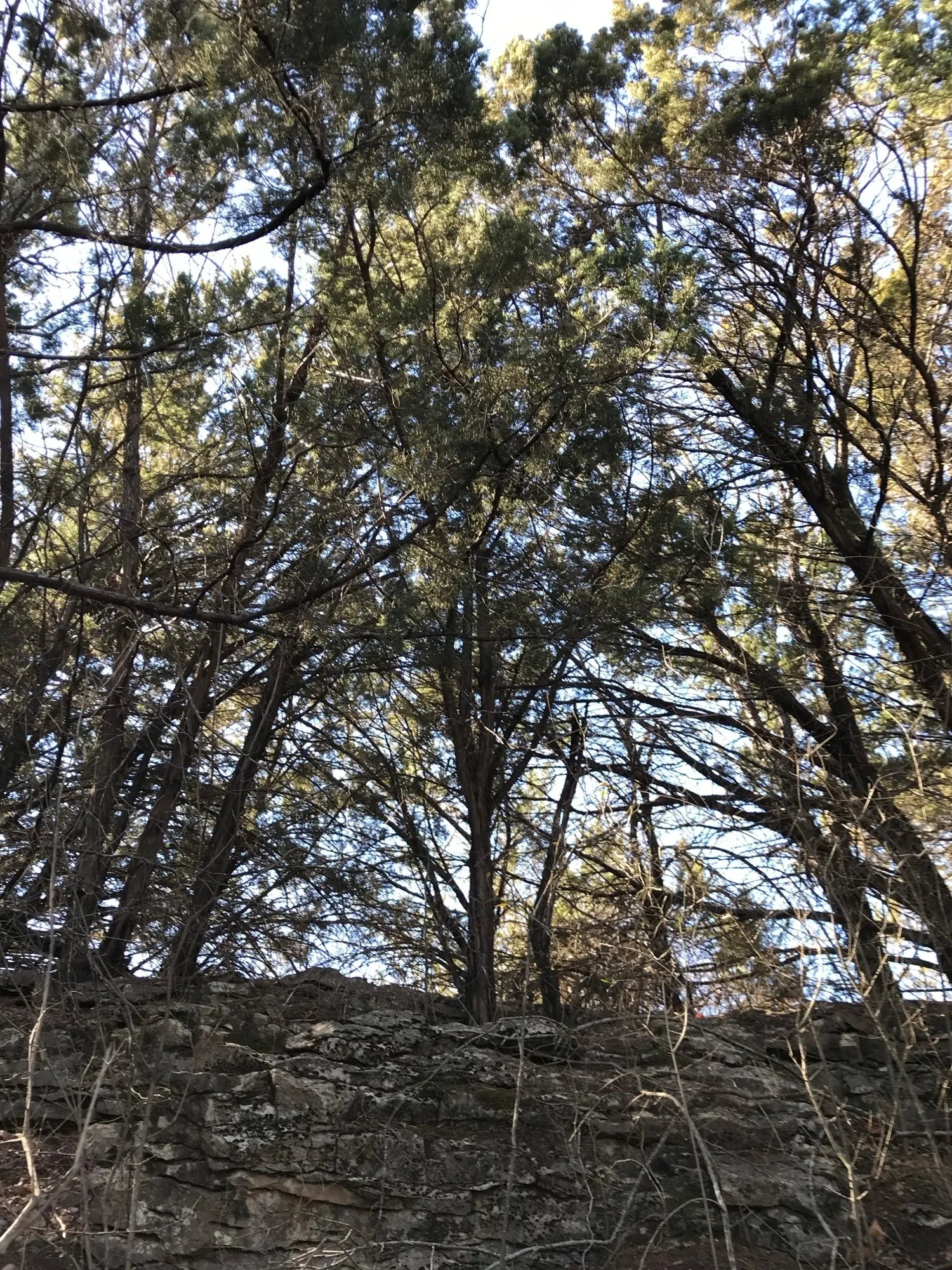 Unimproved Land For Sale in Palo Pinto County , Lot 694 Balcones Lane, Possum Kingdom Lake, Texas 76449, 0, 0, Garage spaces, 0 Sqft, built in 0, Price $78,500, mls#21252828, Real Estate Agent in Possum Kingdom Lake, Homes For Sale in Palo Pinto county, Homes For Sale in Possum Kingdom Lake, Realtor in Possum Kingdom Lake Texas, Real Estate Brokerage Independent Realty Texas, Luminita Cordes Realtor